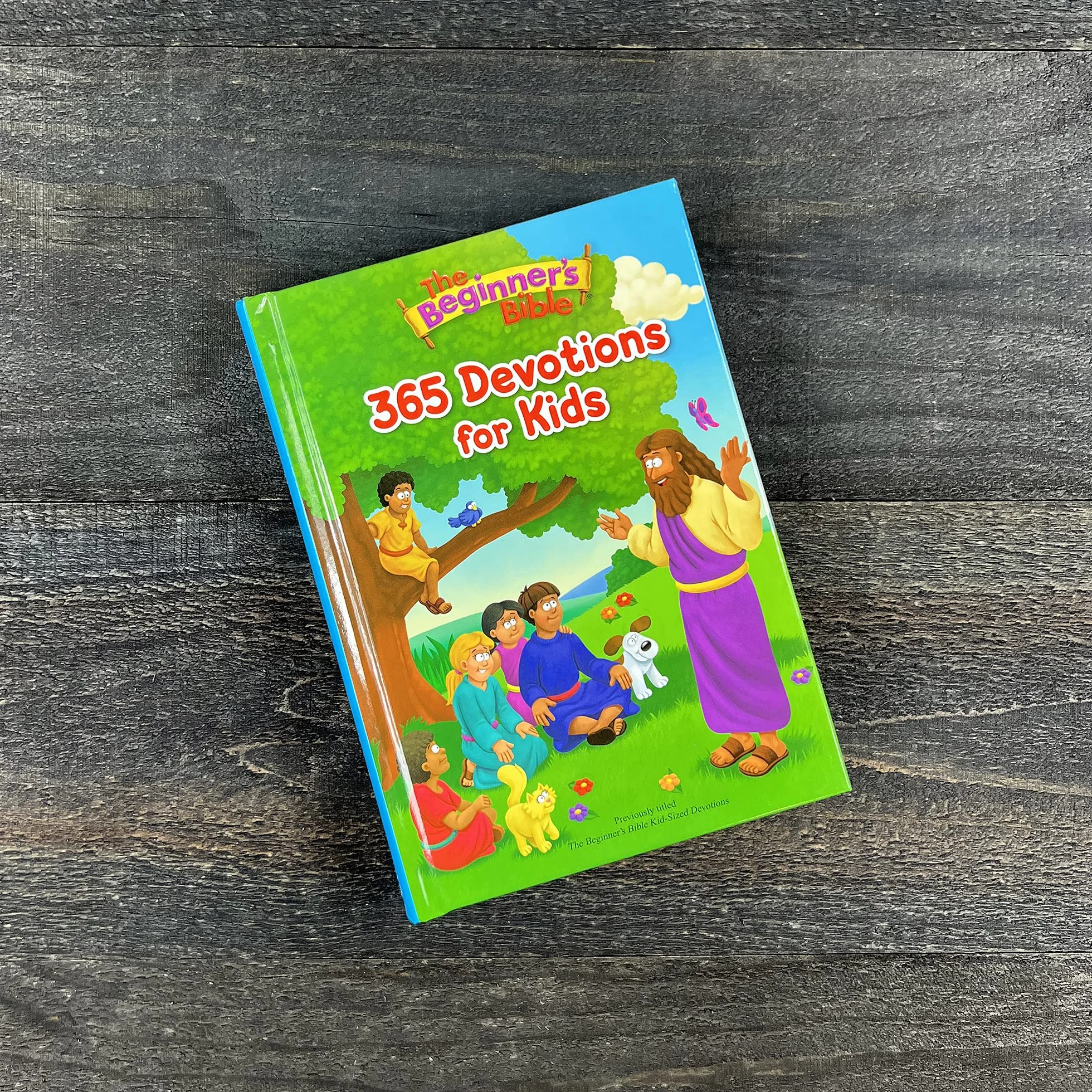The Beginner's Bible 365 Devotions for Kids