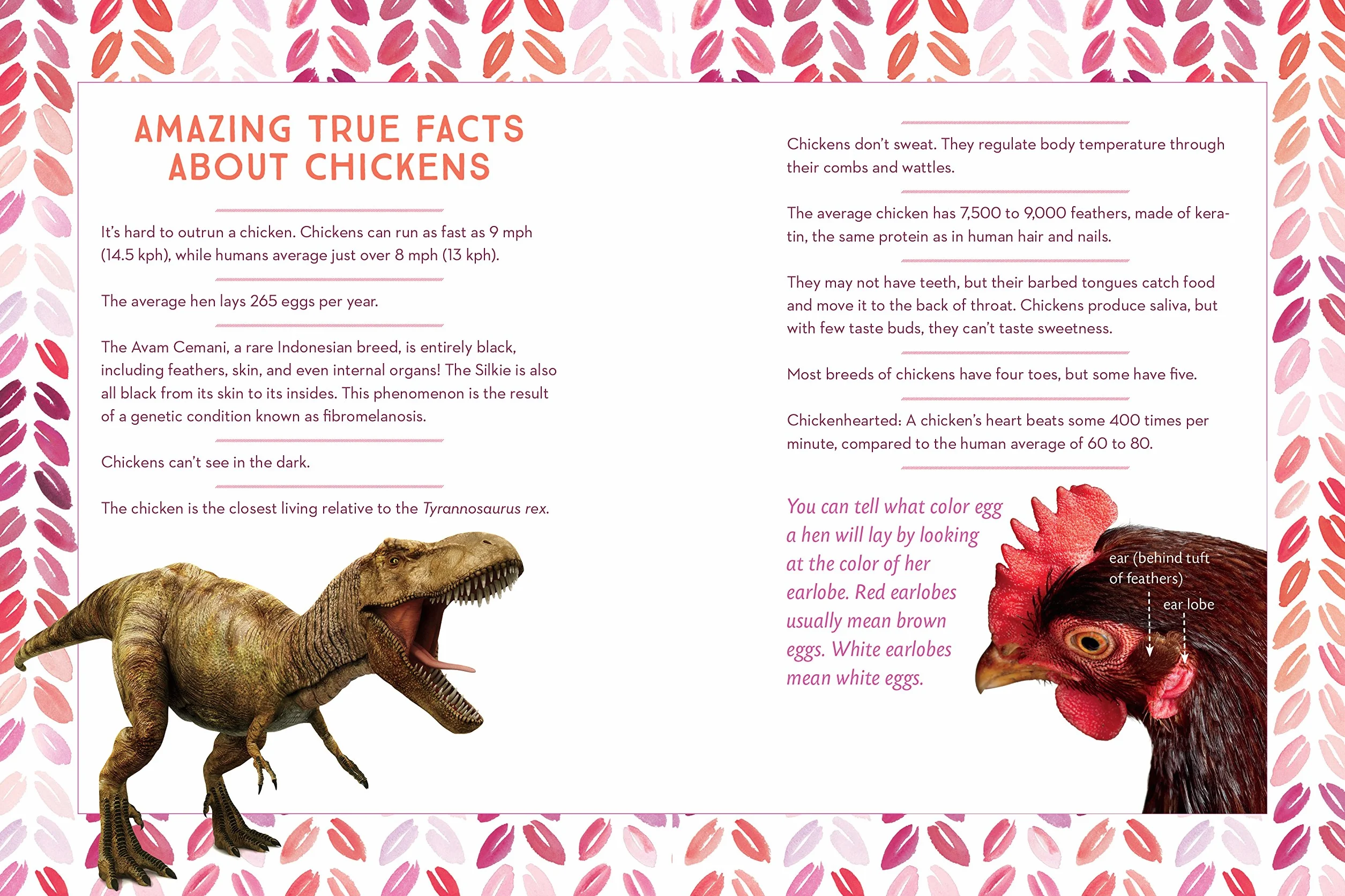 How to Speak Chicken: Why Your Chickens Do What They Do & Say What They Say