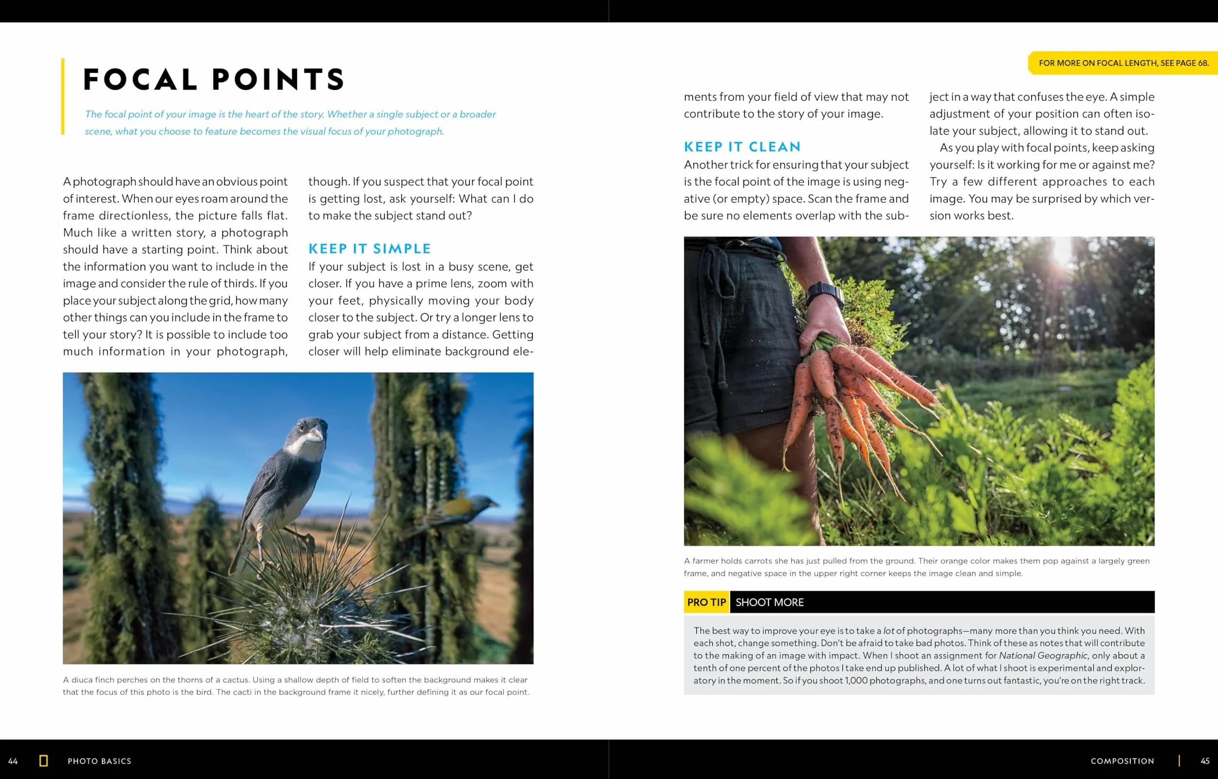 National Geographic Photo Basics: The Ultimate Beginner's Guide to Great Photography