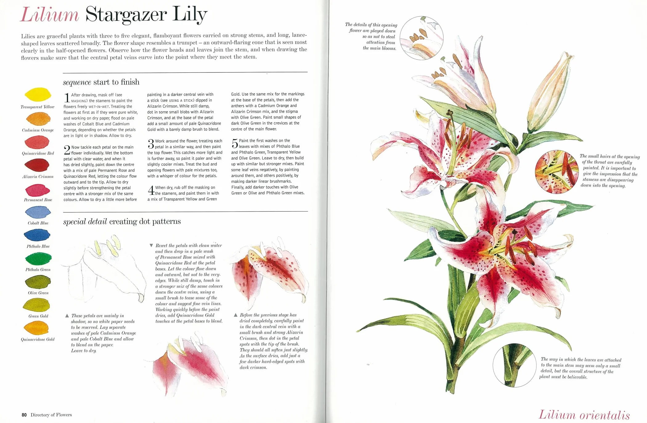 Kew Watercolour Flower Painter's A to Z: Illustrated Directory of Techniques for Painting 50 Popular Flowers