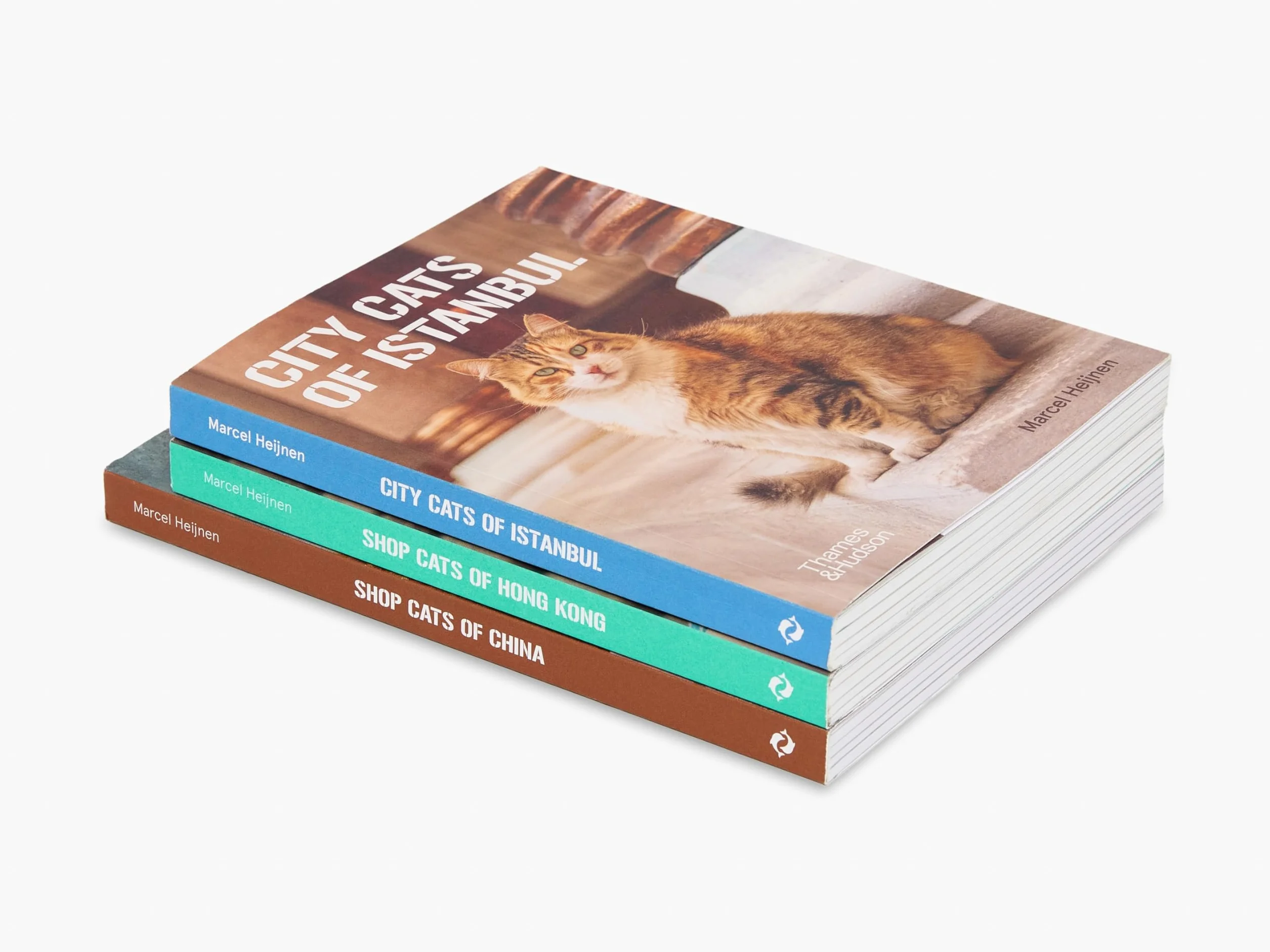 City Cats of Istanbul /anglais