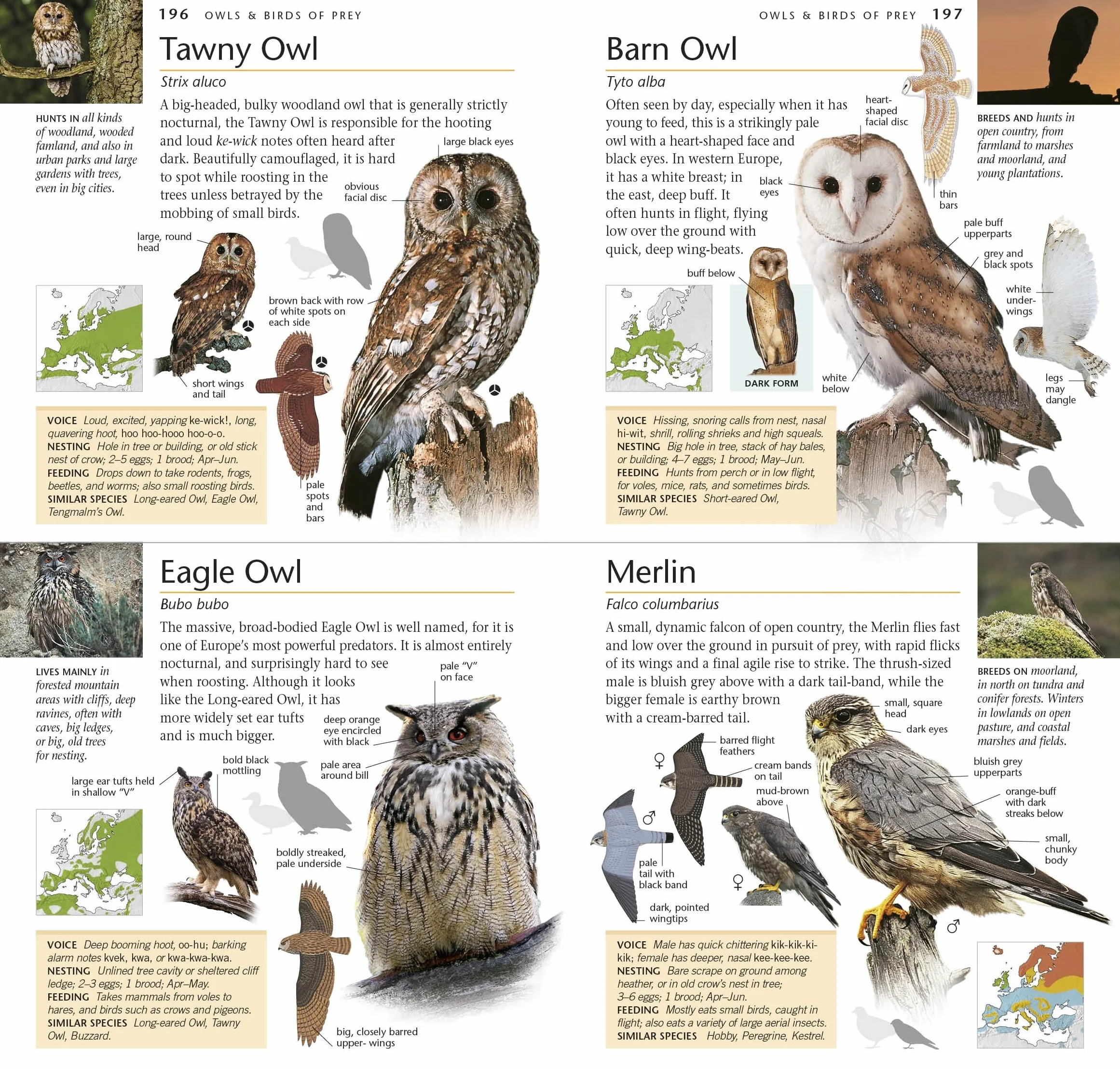 RSPB Pocket Birds of Britain and Europe 5th Edition