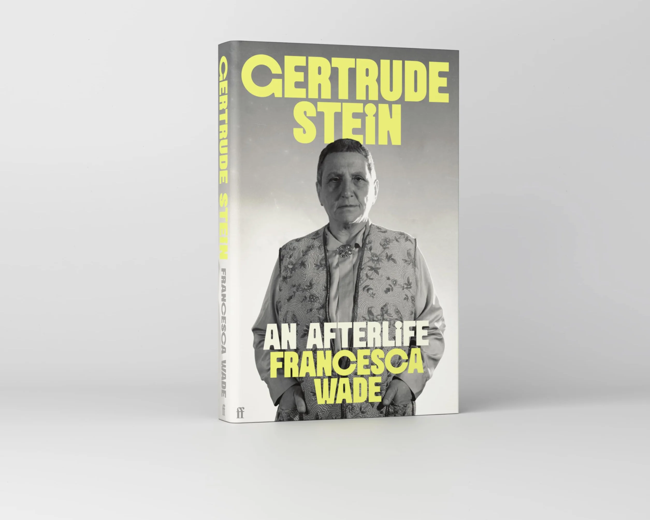 Gertrude Stein: An Afterlife – 'Strikingly accomplished . . . utterly compelling.'