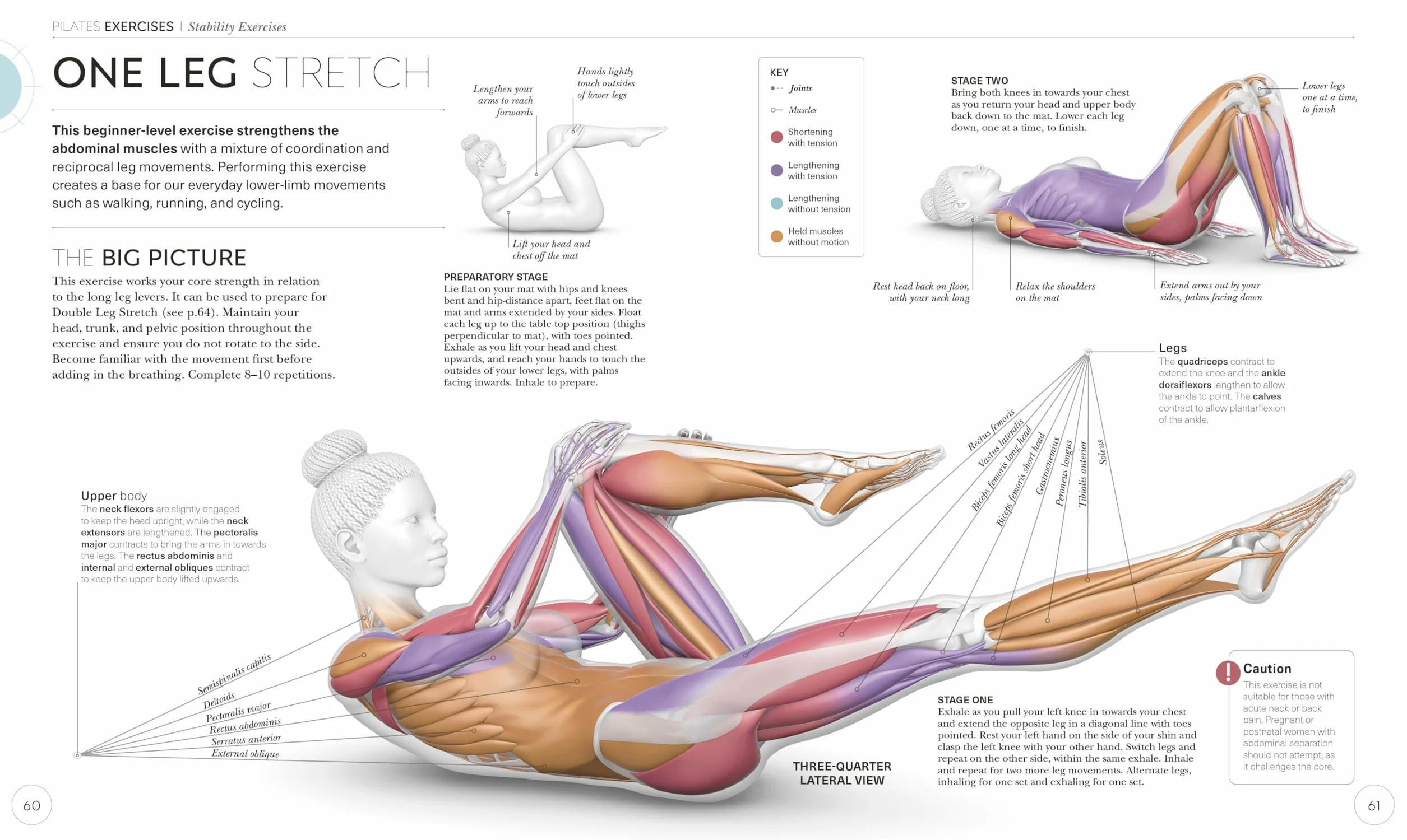 Science of Pilates: Understand the Anatomy and Physiology to Perfect Your Practice