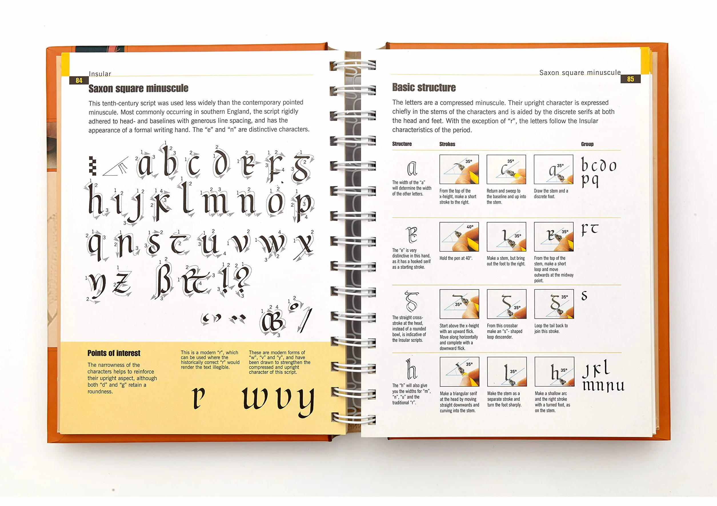 The Calligrapher's Bible: 100 Complete Alphabets and How to Draw Them