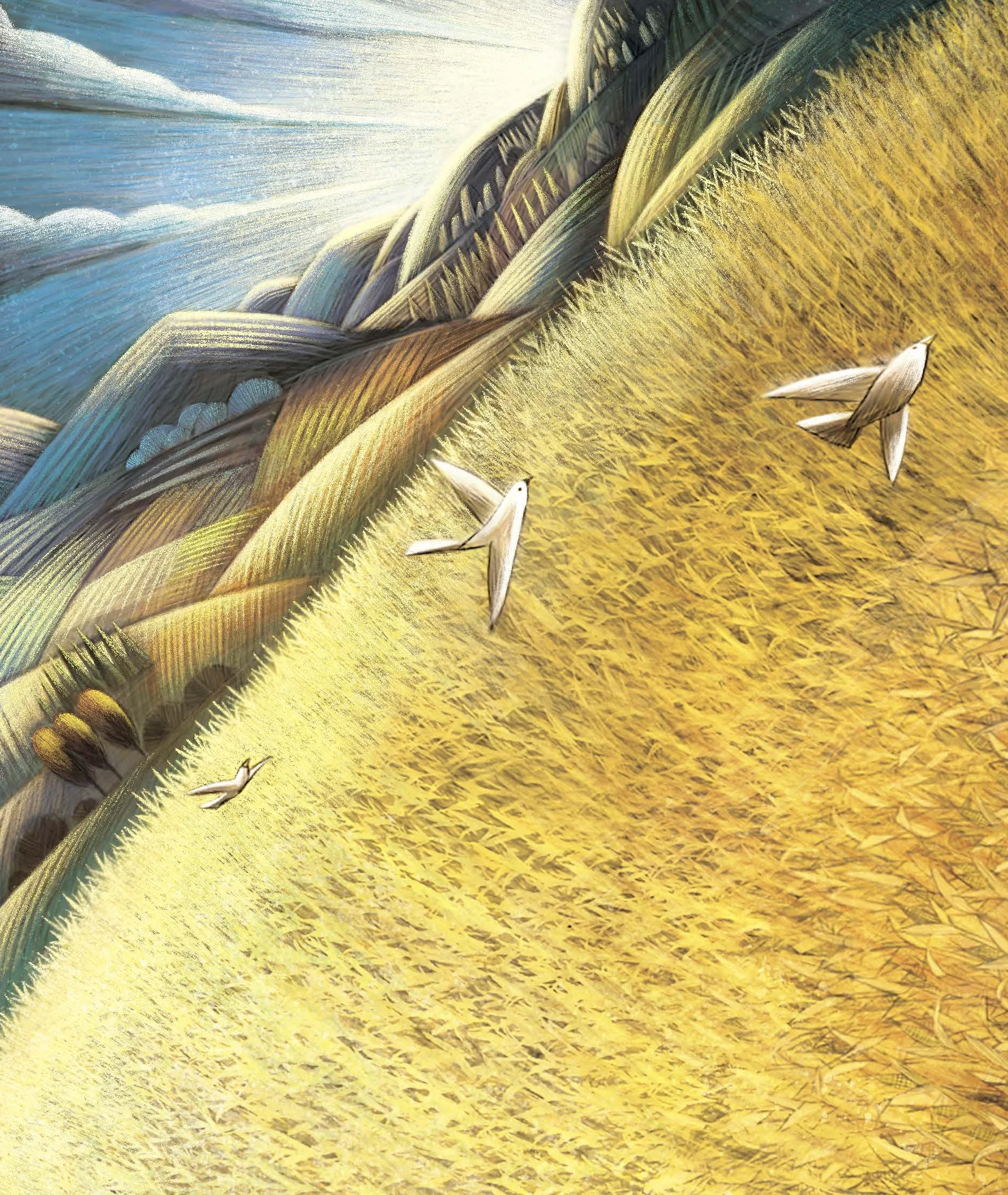 God's Colorful Kingdom Storybook Bible: The Story of God's Big Diverse Family
