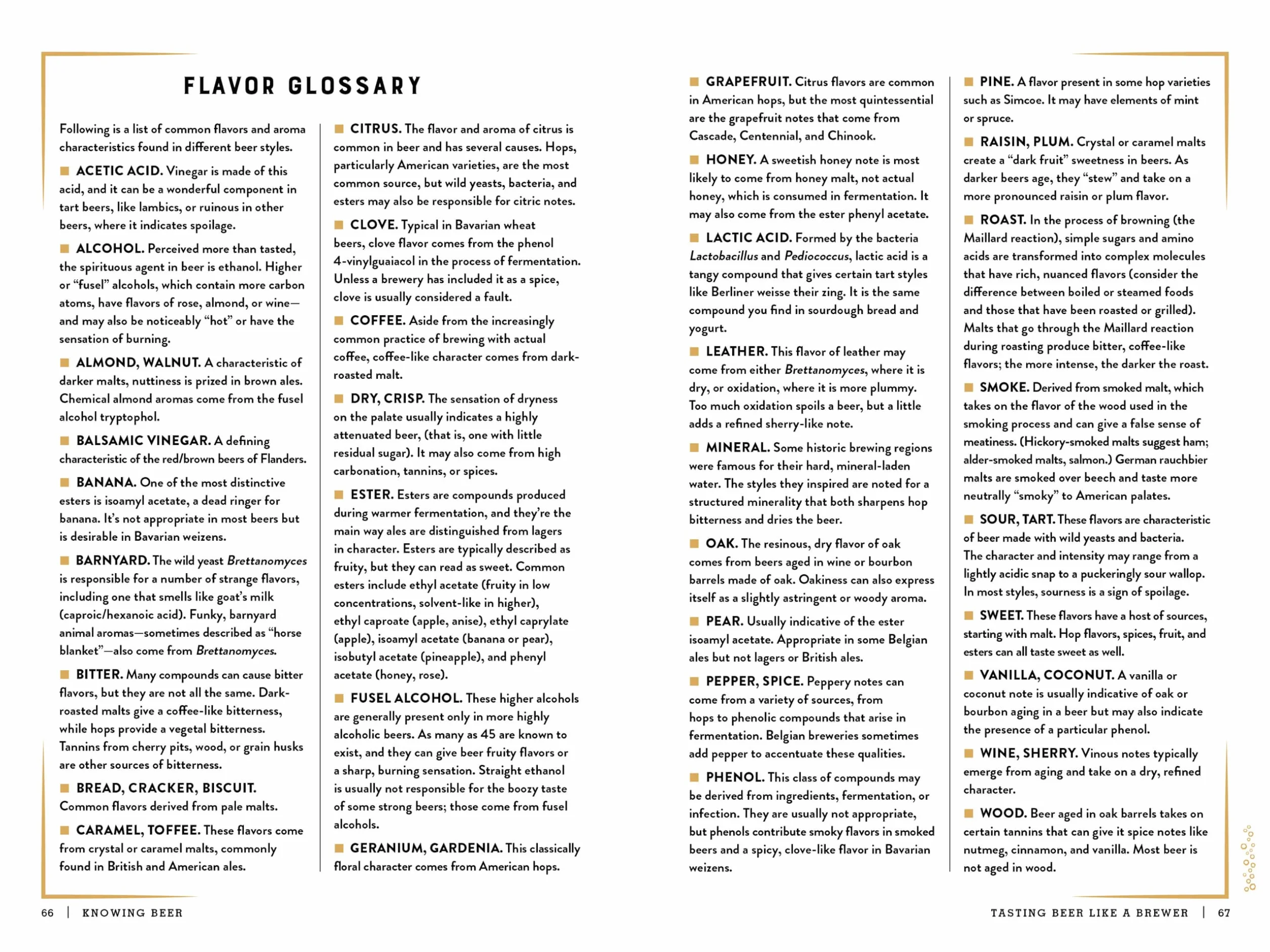 The Beer Bible: Second Edition