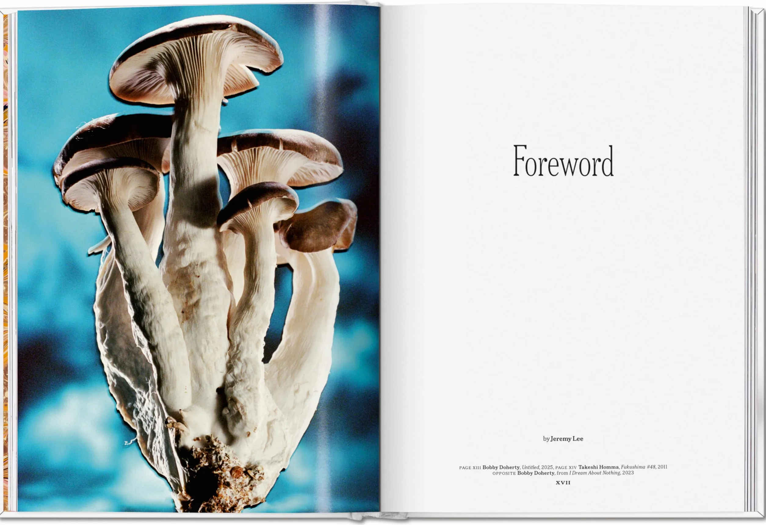 The Gourmand's Mushroom: A Collection of Stories & Recipes