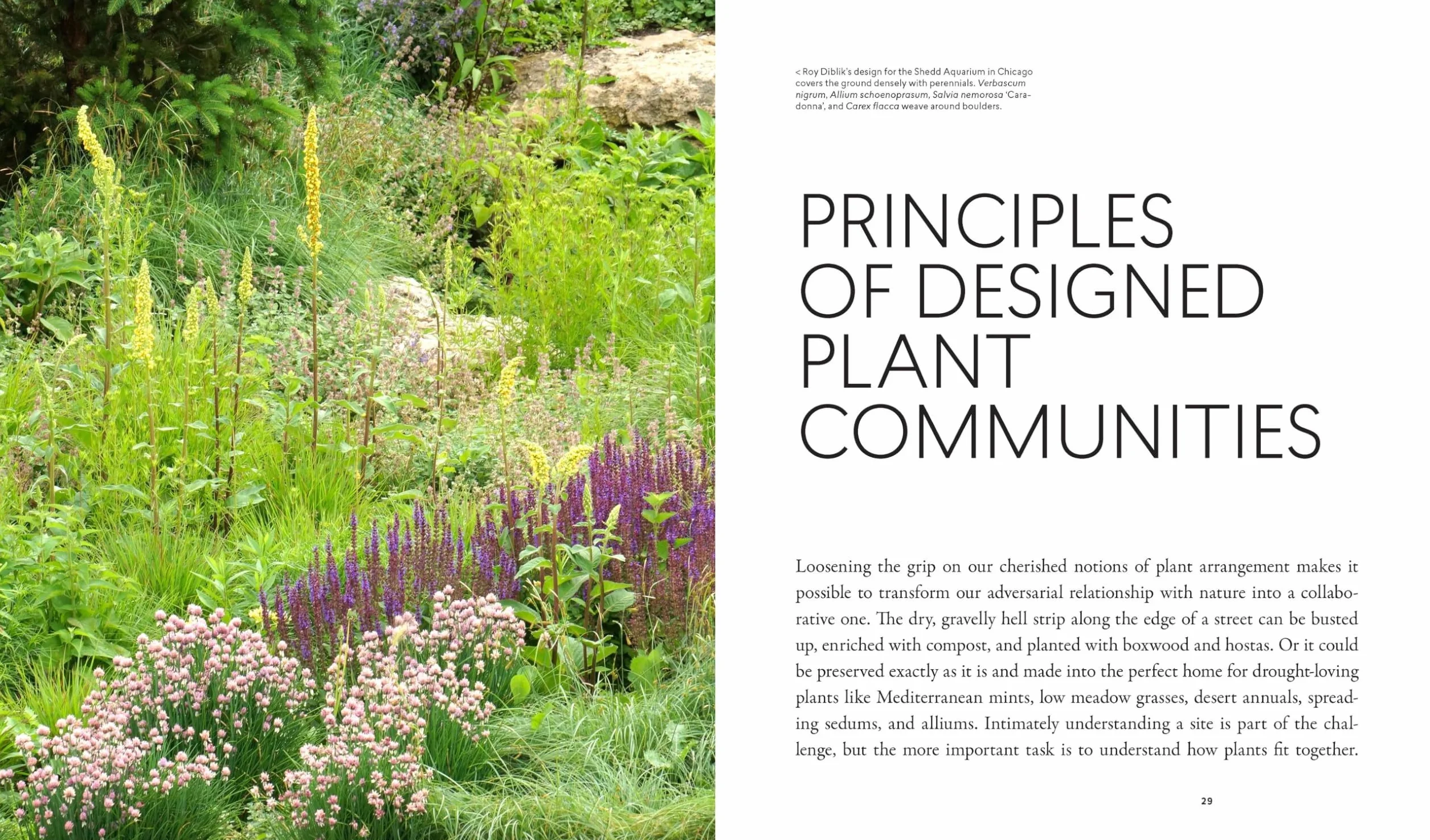 Planting in a Post-Wild World: Designing Plant Communities for Resilient Landscapes