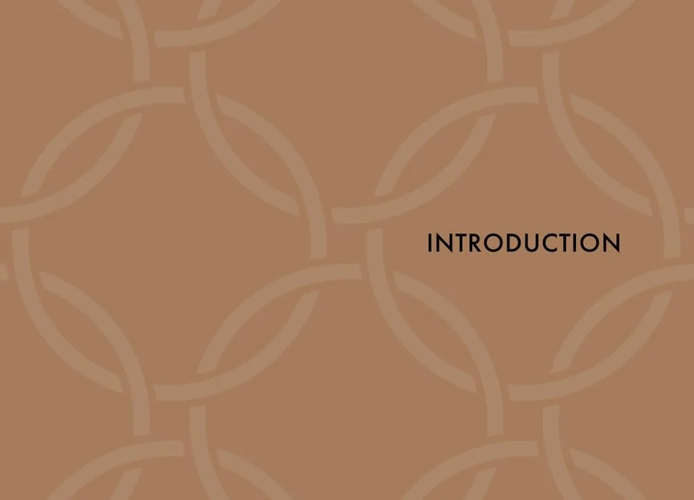 Little Book of Celine: The Story of the Iconic Fashion House