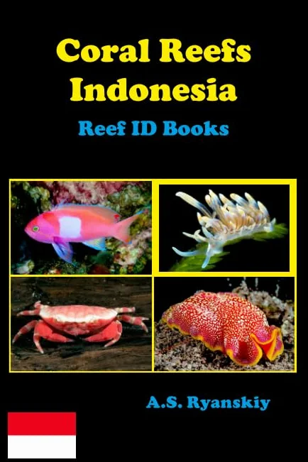 Coral Reefs Indonesia: Reef ID Books