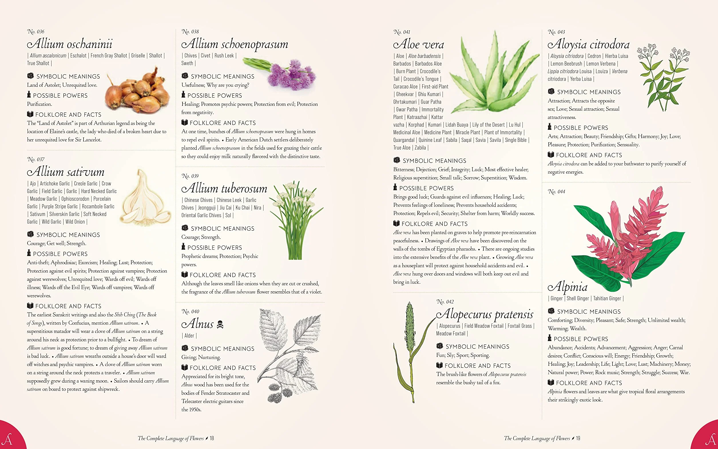 The Complete Language of Flowers: A Definitive and Illustrated History - Pocket Edition