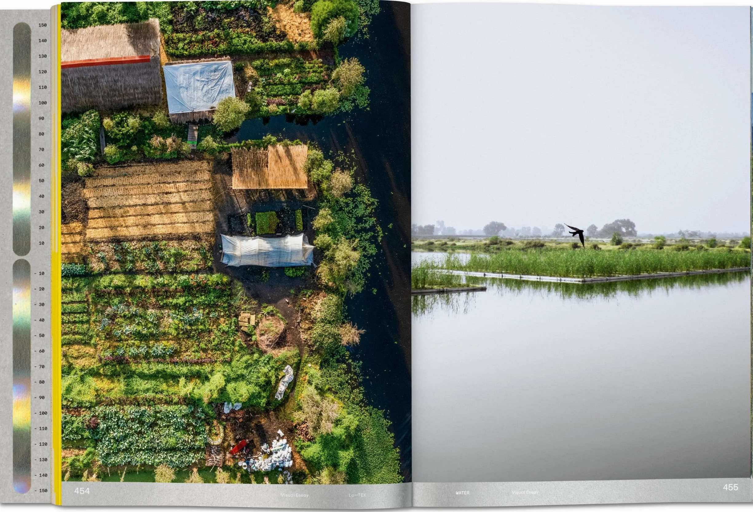 Julia Watson. Lo--Tek. Water. a Field Guide for Teknology