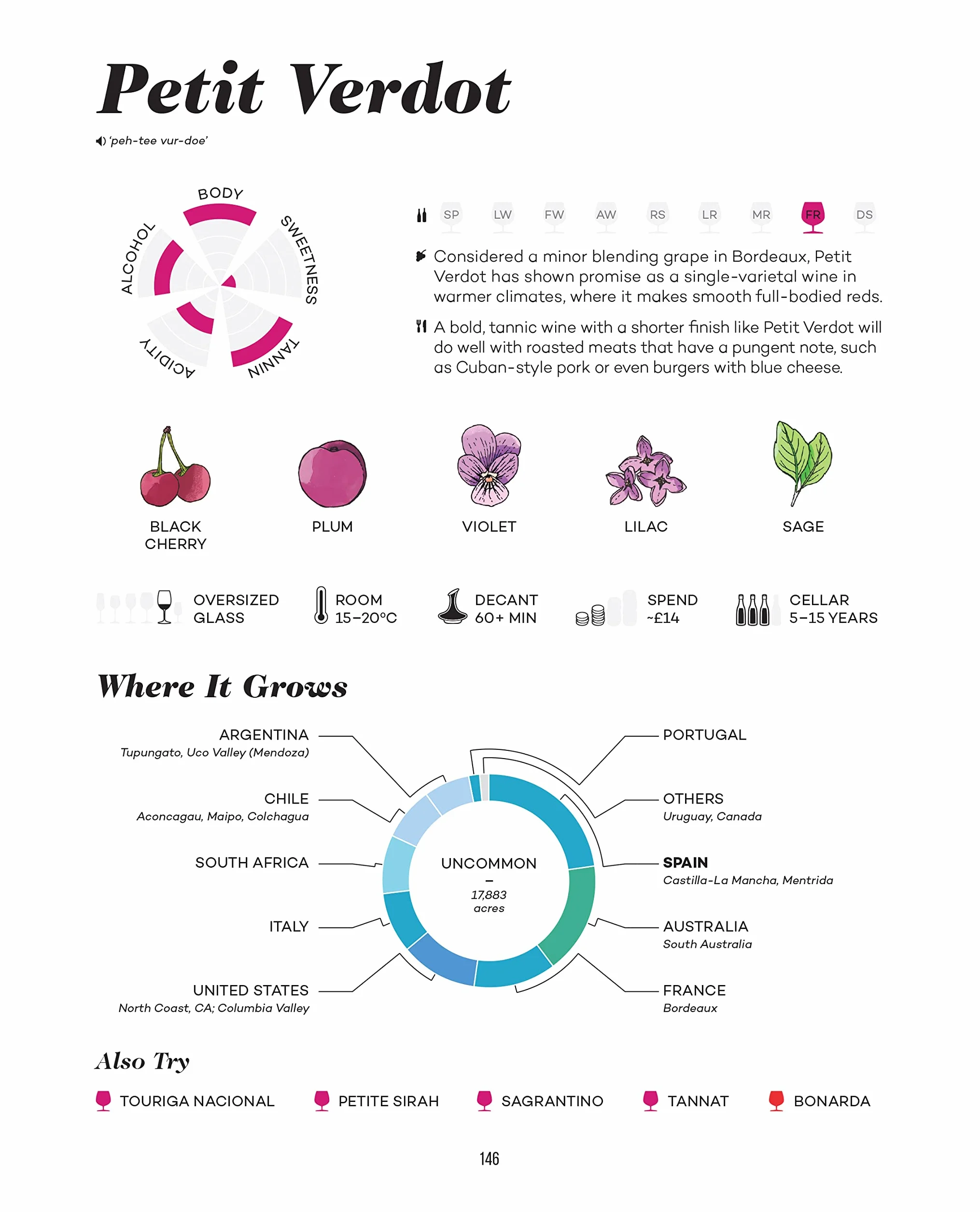 Wine Folly Magnum Edition: The Master Guide