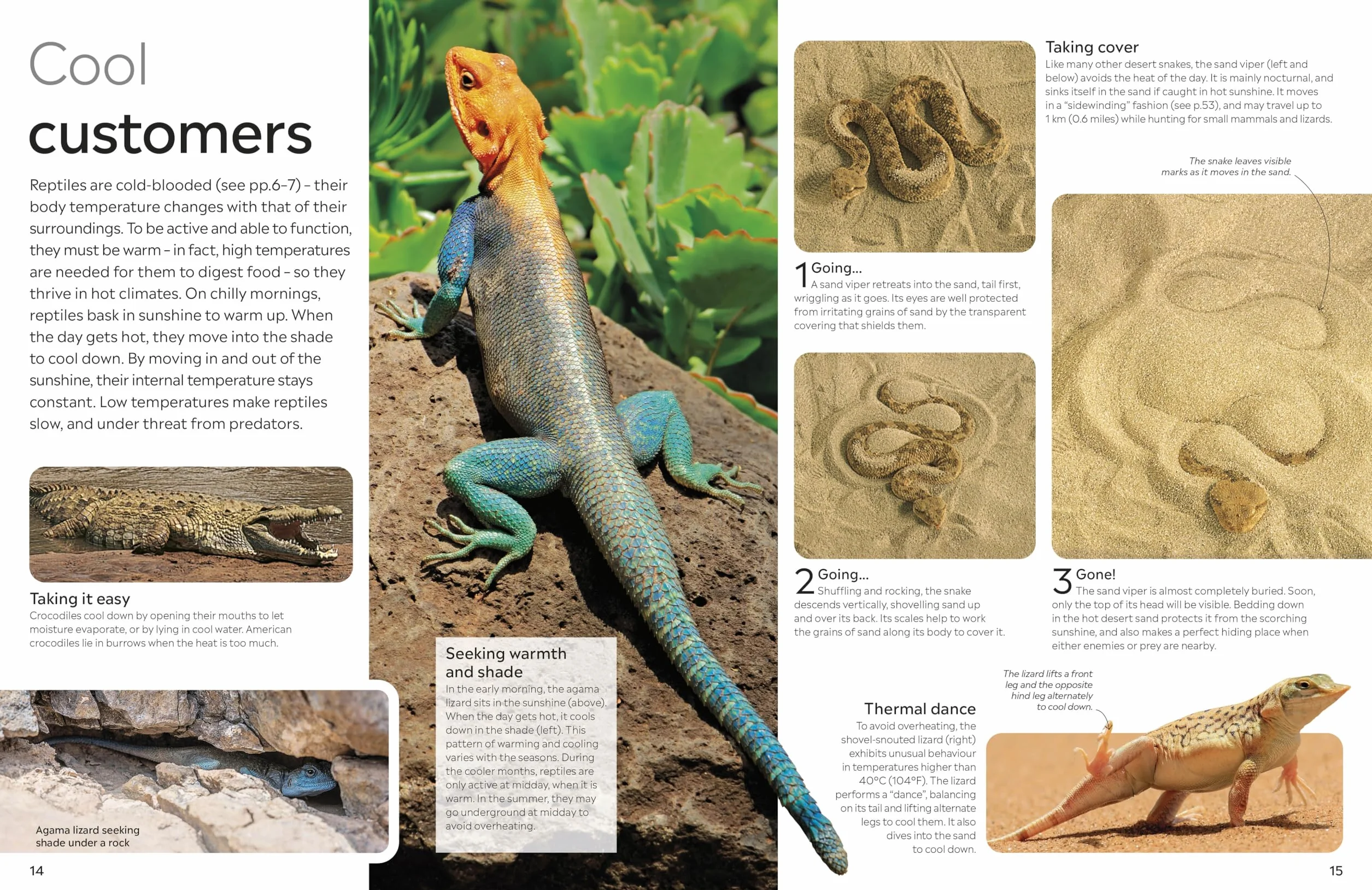 DK Eyewitness Reptile