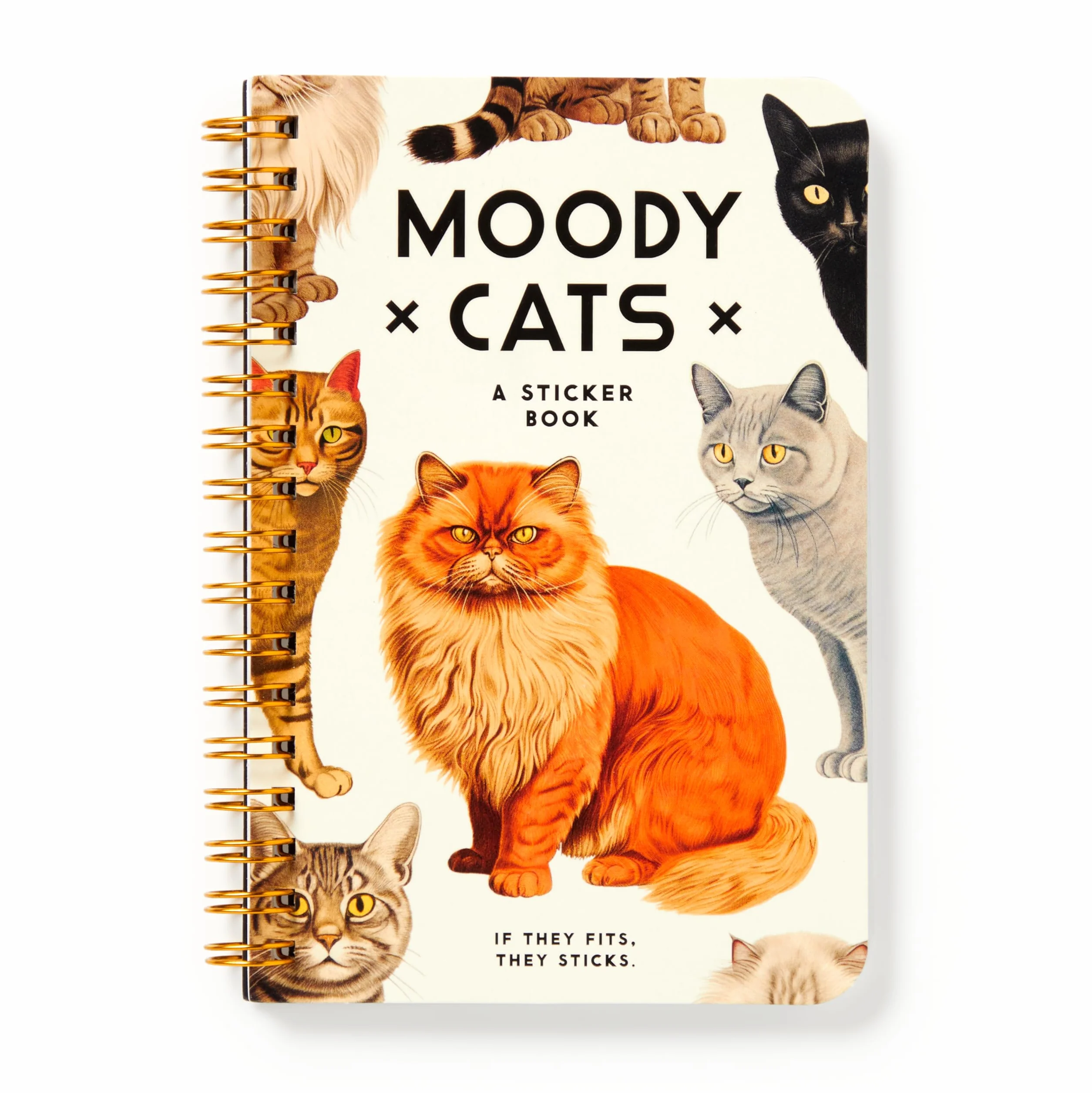 Moody Cats Sticker Book