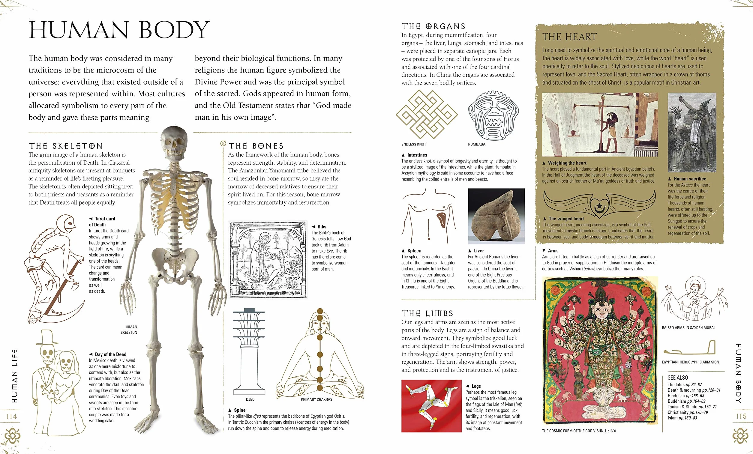 Signs & Symbols: Illustrated Guide to Origins & Meanings