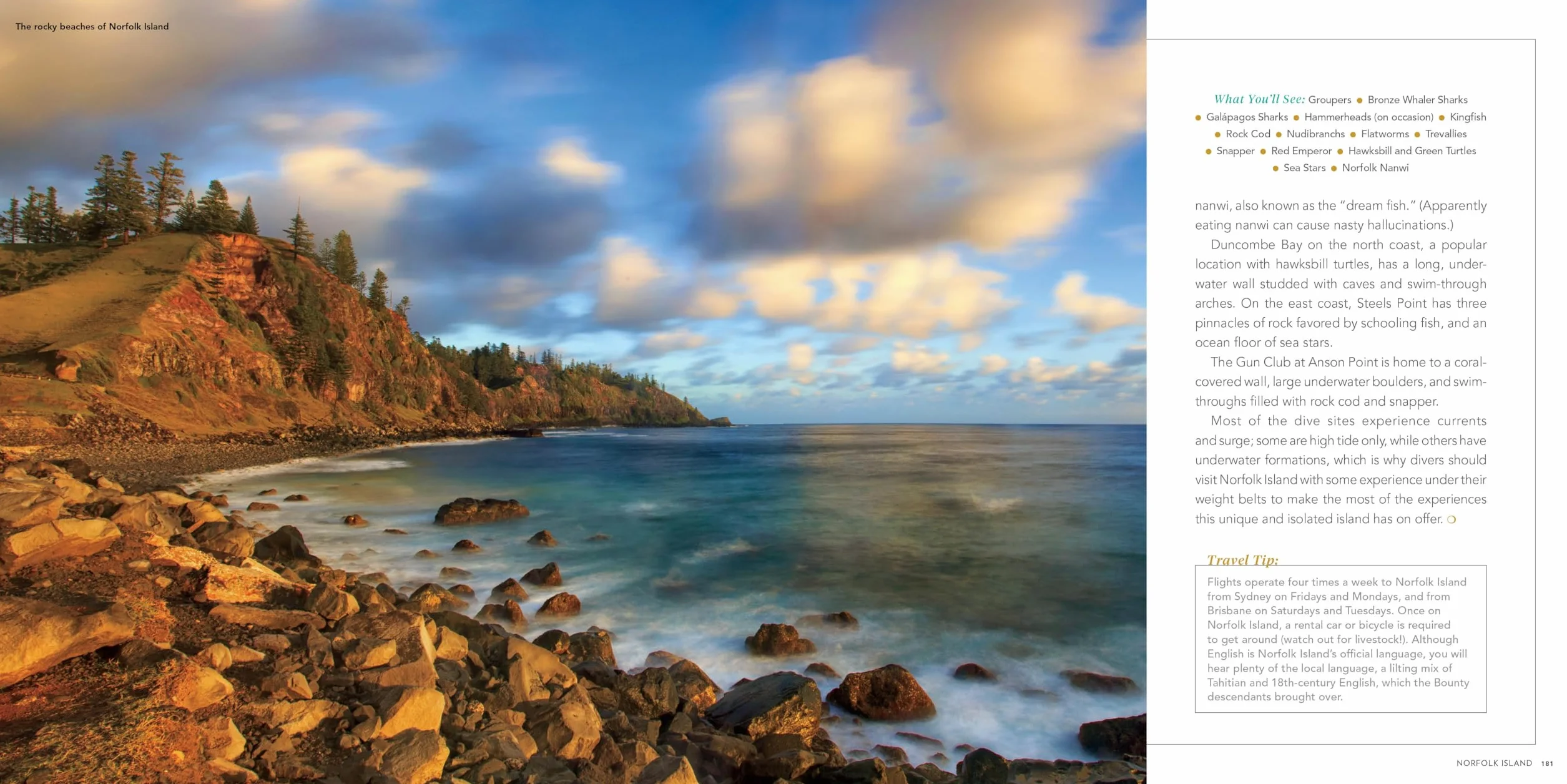 100 Dives of a Lifetime: The World's Ultimate Underwater Destinations