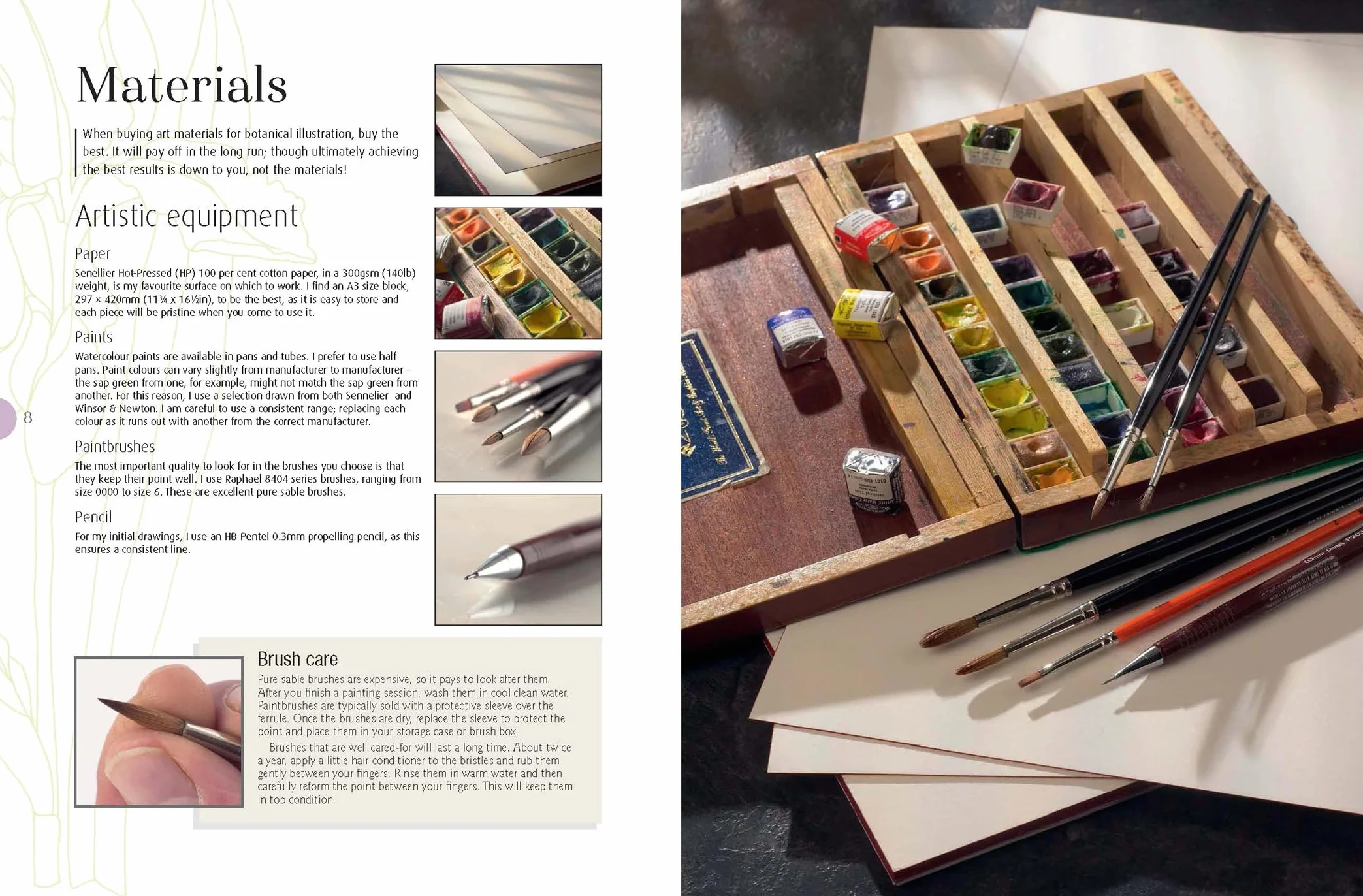 Beginner's Guide to Botanical Flower Painting