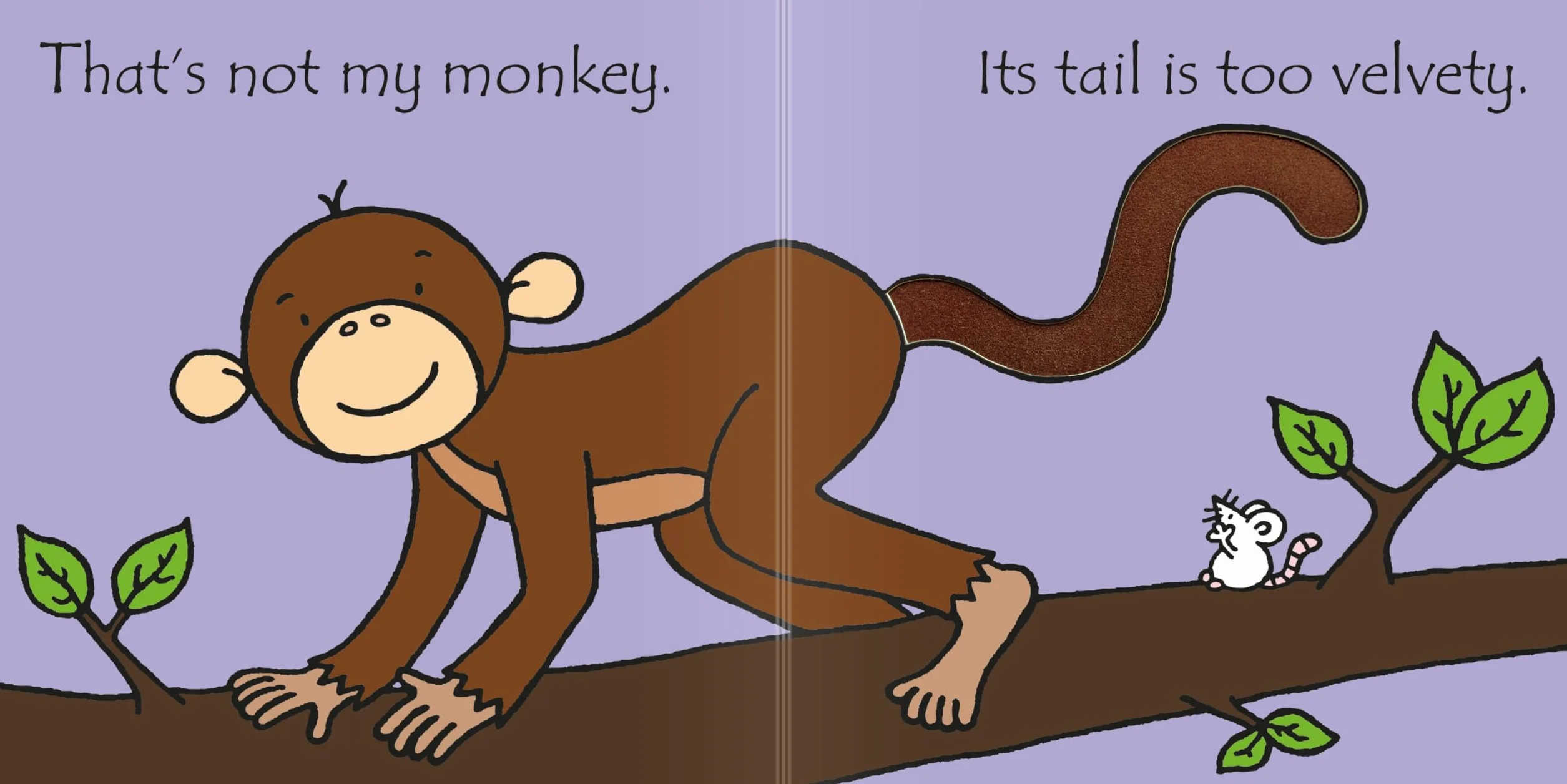 That's Not My Monkey