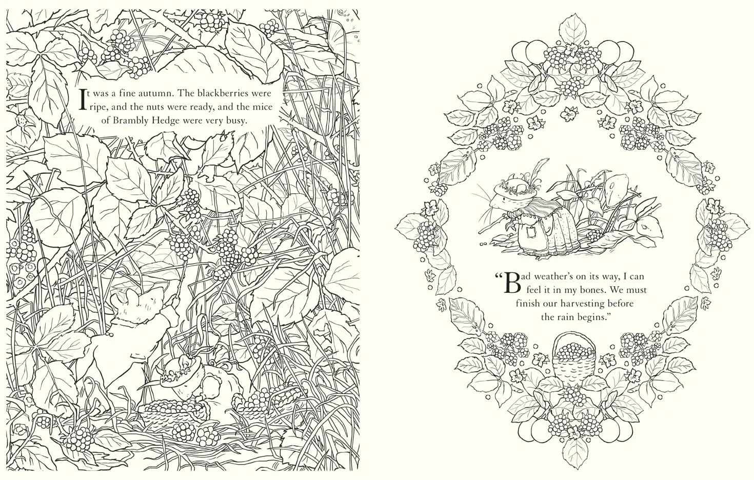 Brambly Hedge Festive Colouring Book: Magically Festive Colouring Book for Children and Adults
