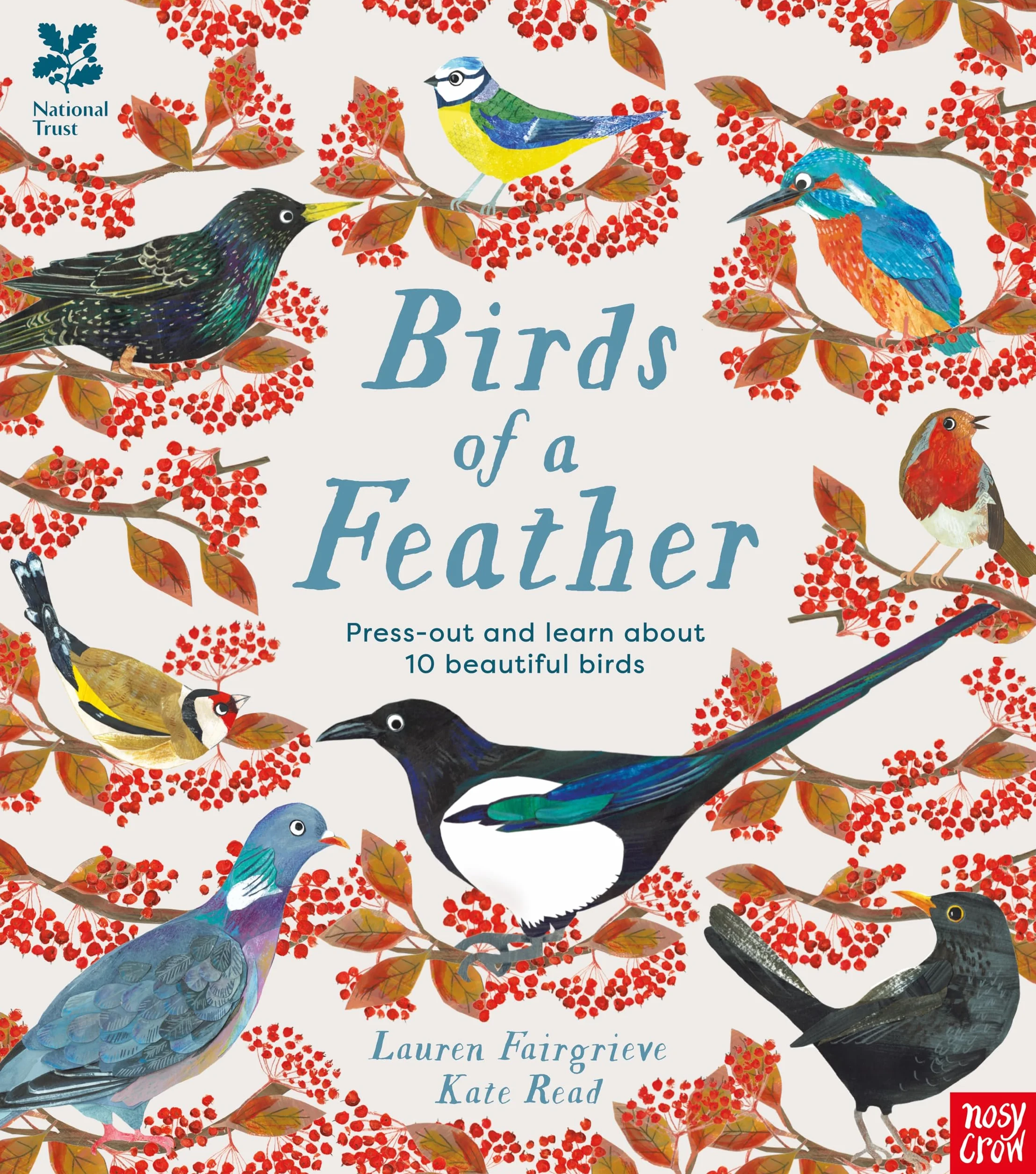 National Trust: Birds of a Feather: Press out and learn about 10 beautiful birds