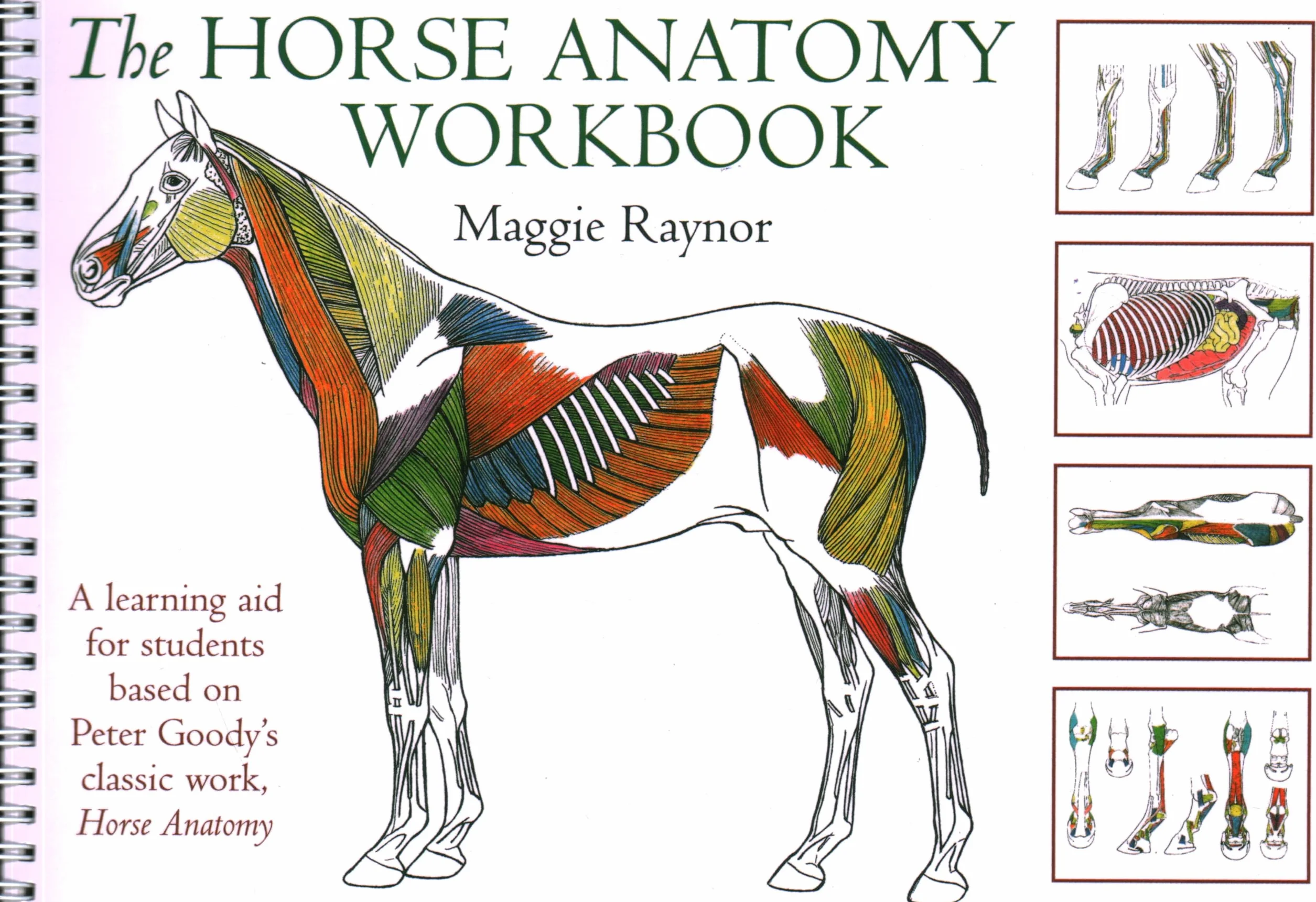 Horse Anatomy Workbook: A Learning Aid for Students Based on Peter Goody's Classic Work