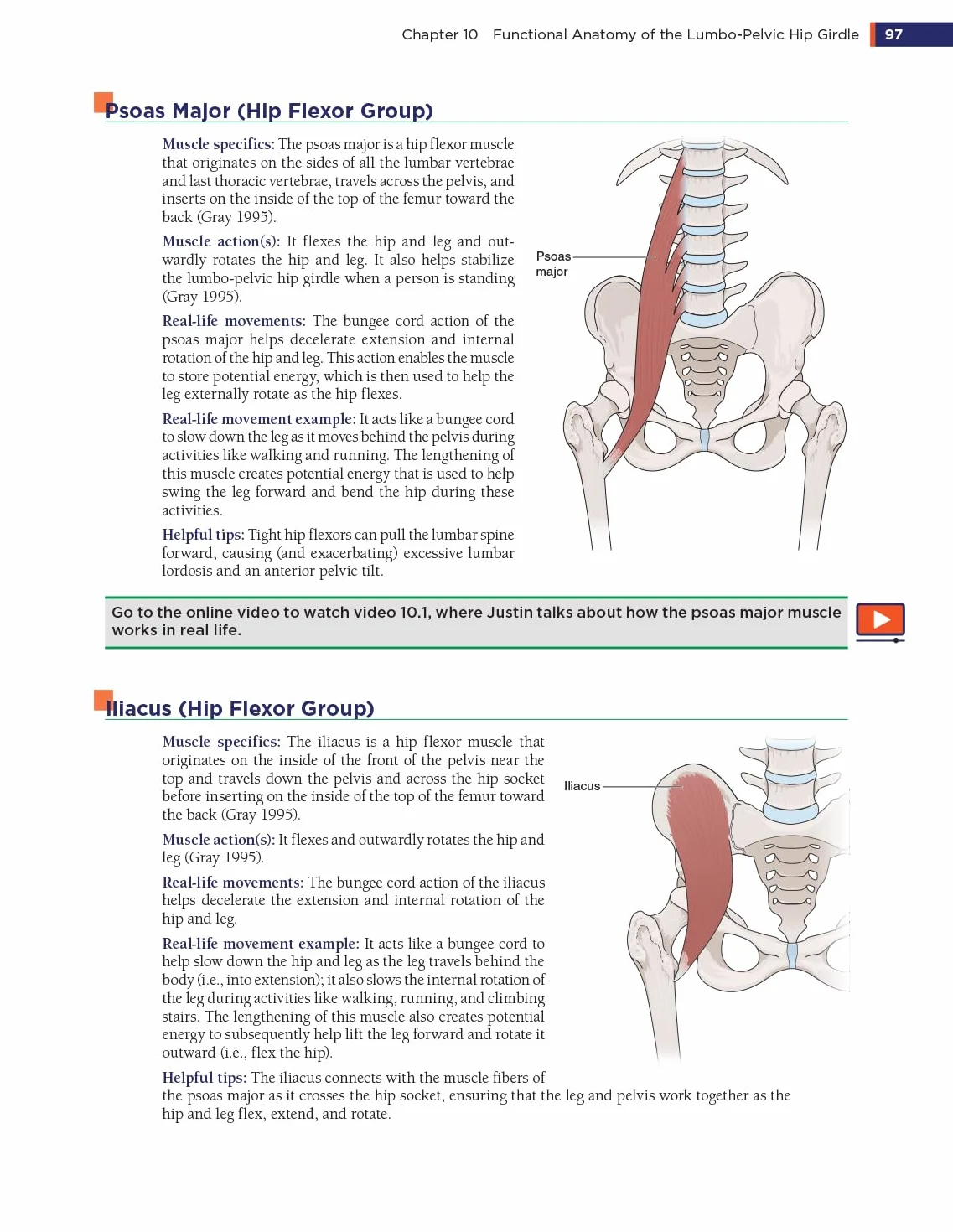 The Biomechanics Method for Corrective Exercise