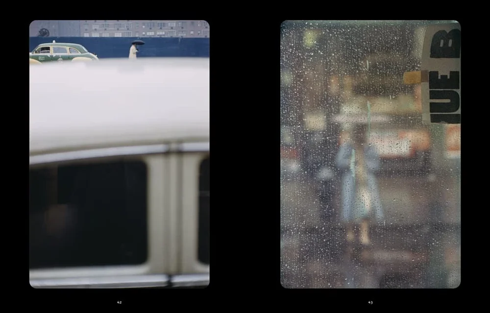The Unseen Saul Leiter /anglais: with 76 color slides