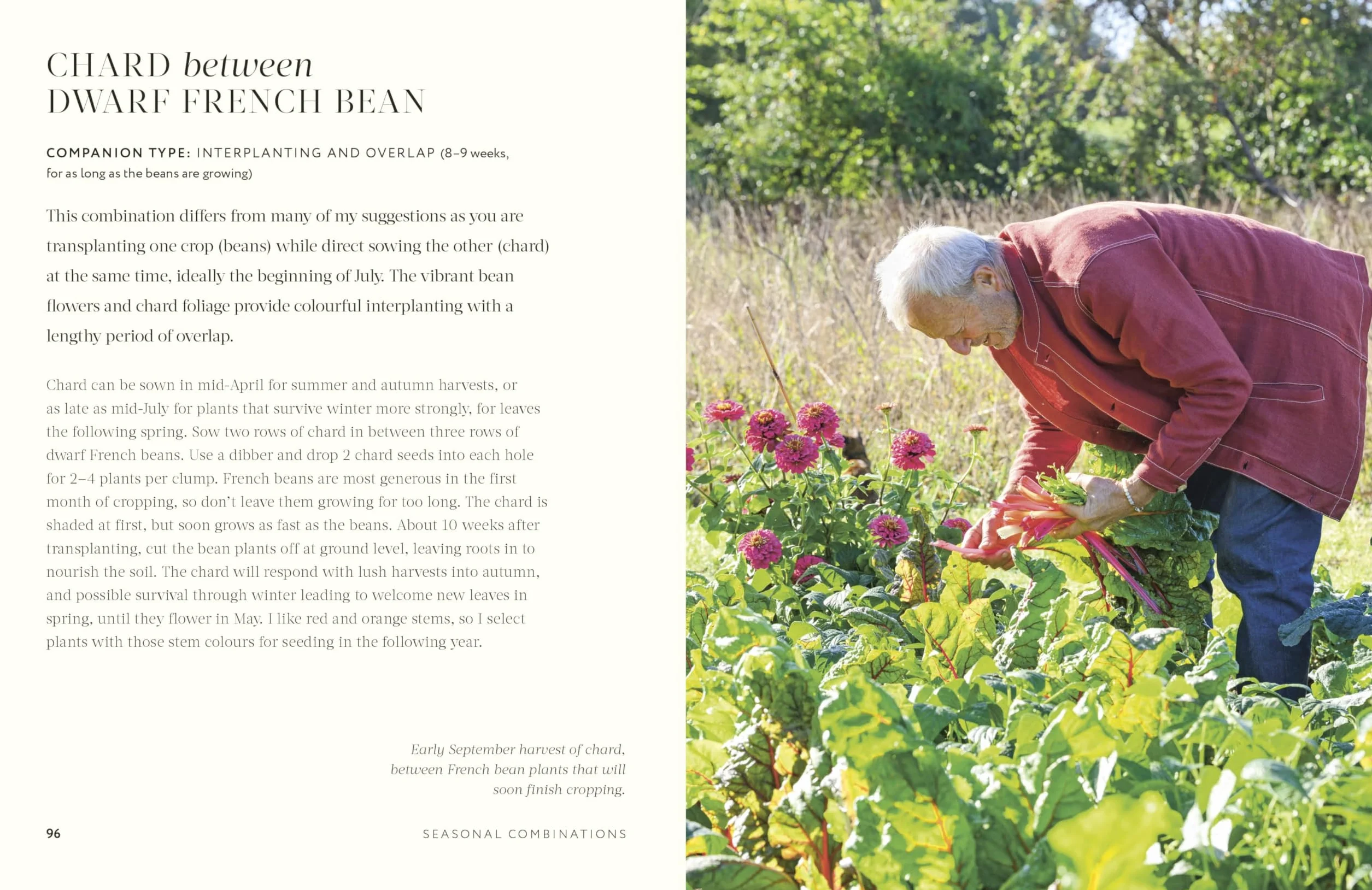 Grow Together: 50 Planting Partnerships to Boost Your Harvests