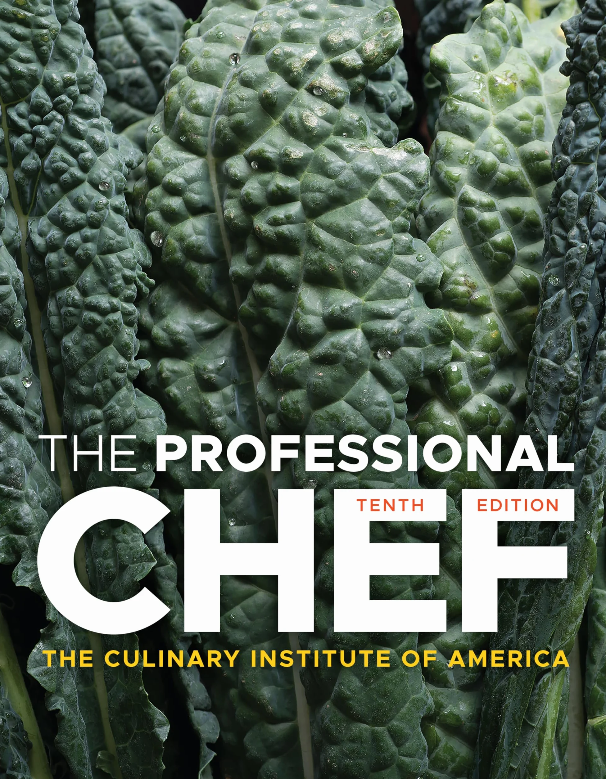 The Professional Chef