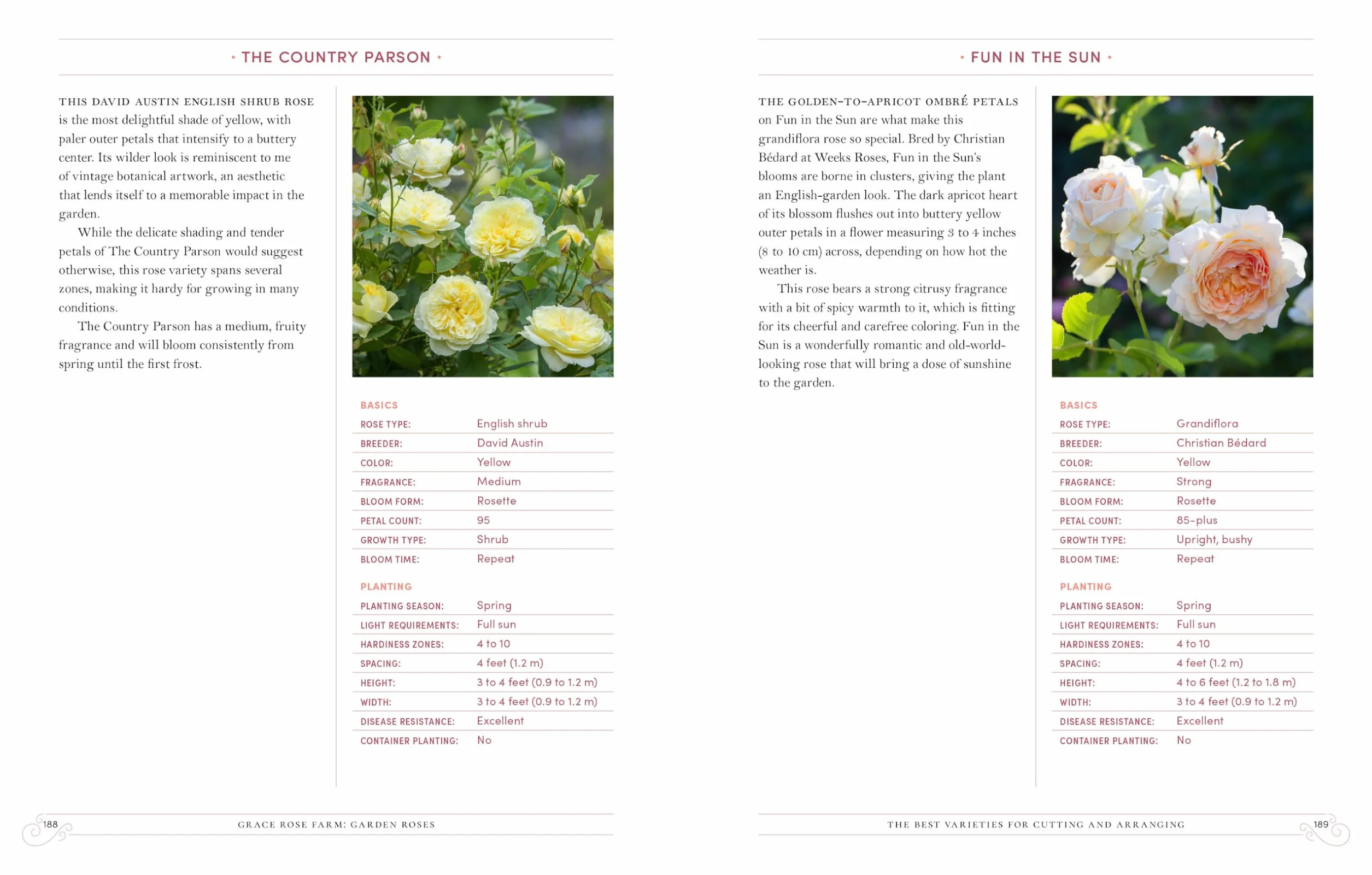 Grace Rose Farm: Garden Roses: Growing & Arranging Spectacular Blooms