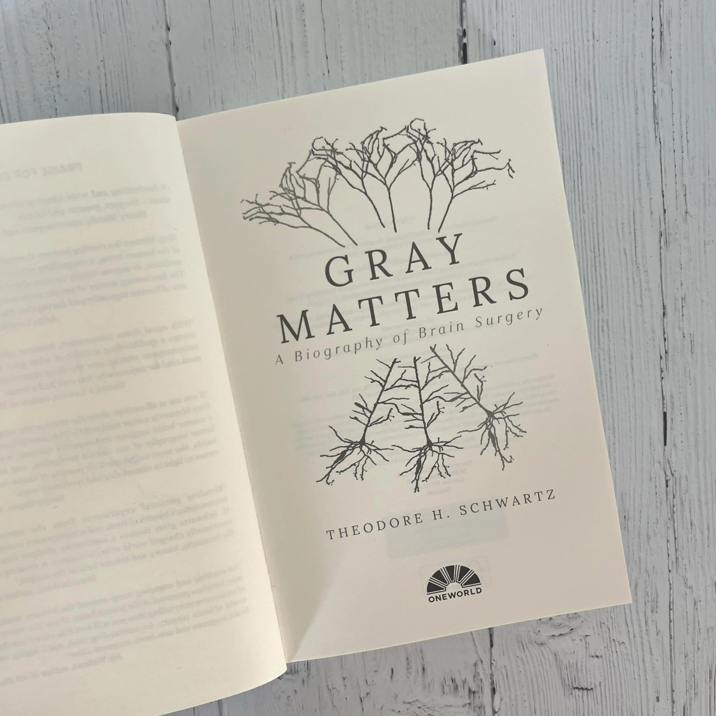 Gray Matters: A Biography of Brain Surgery