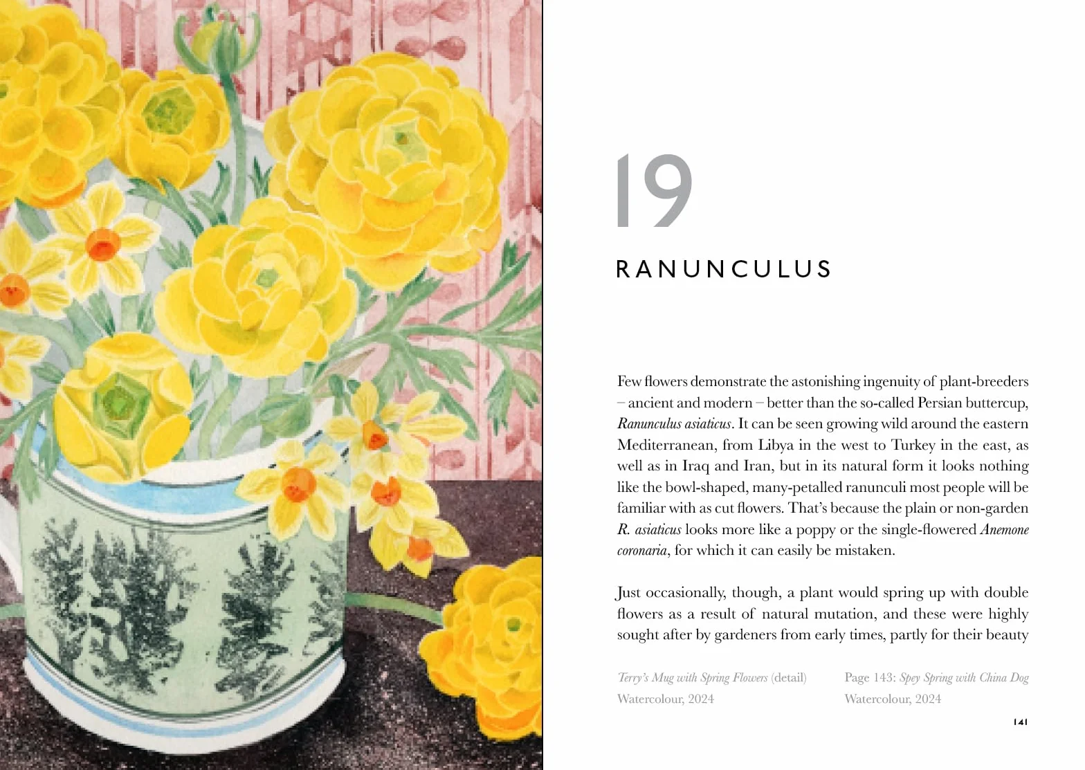 The Book of Garden Flowers