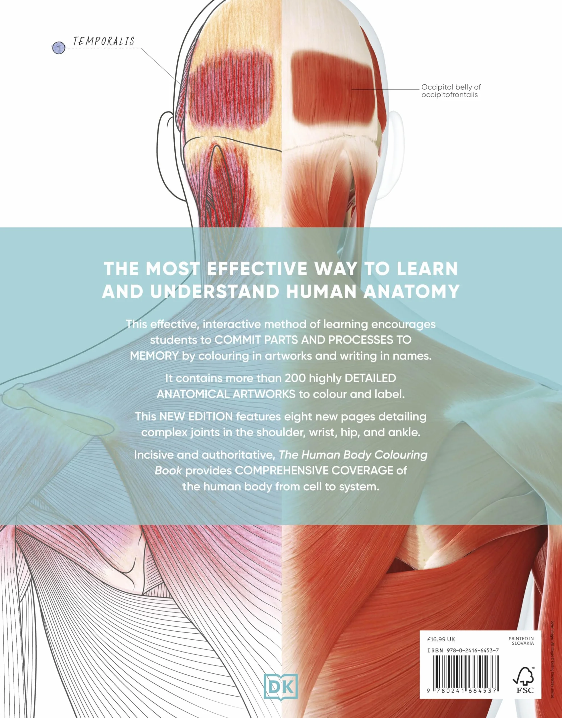 The Human Body Colouring Book: The Ultimate Anatomy Study Guide