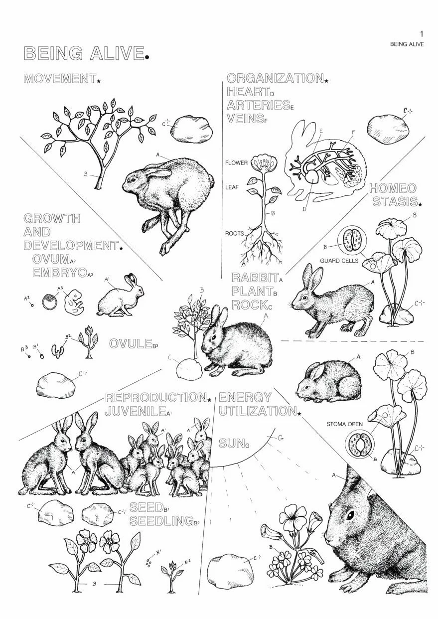 The Biology Coloring Book: A Coloring Book