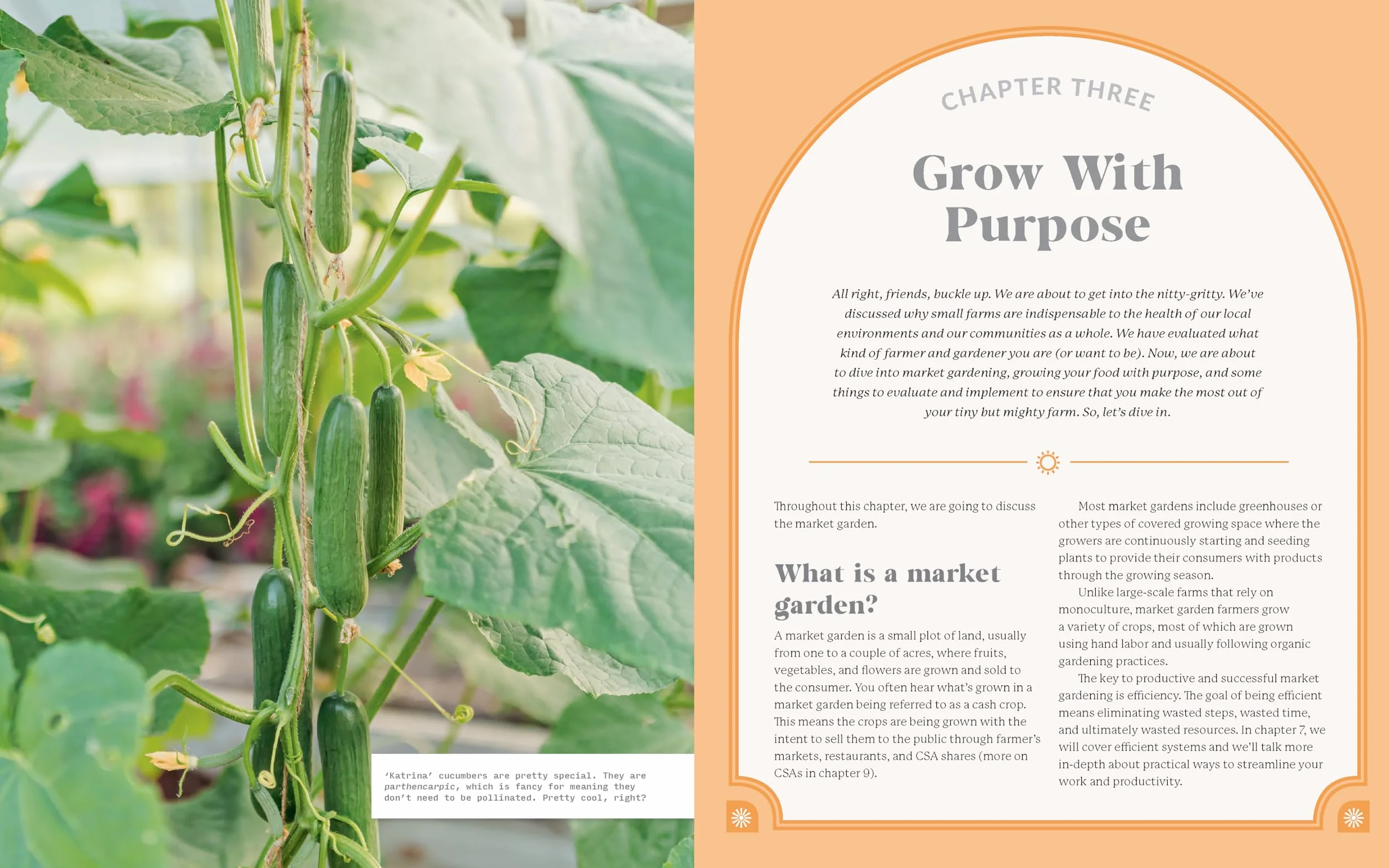 The Tiny But Mighty Farm: Cultivating High Yields, Community, and Self-Sufficiency from a Home Farm