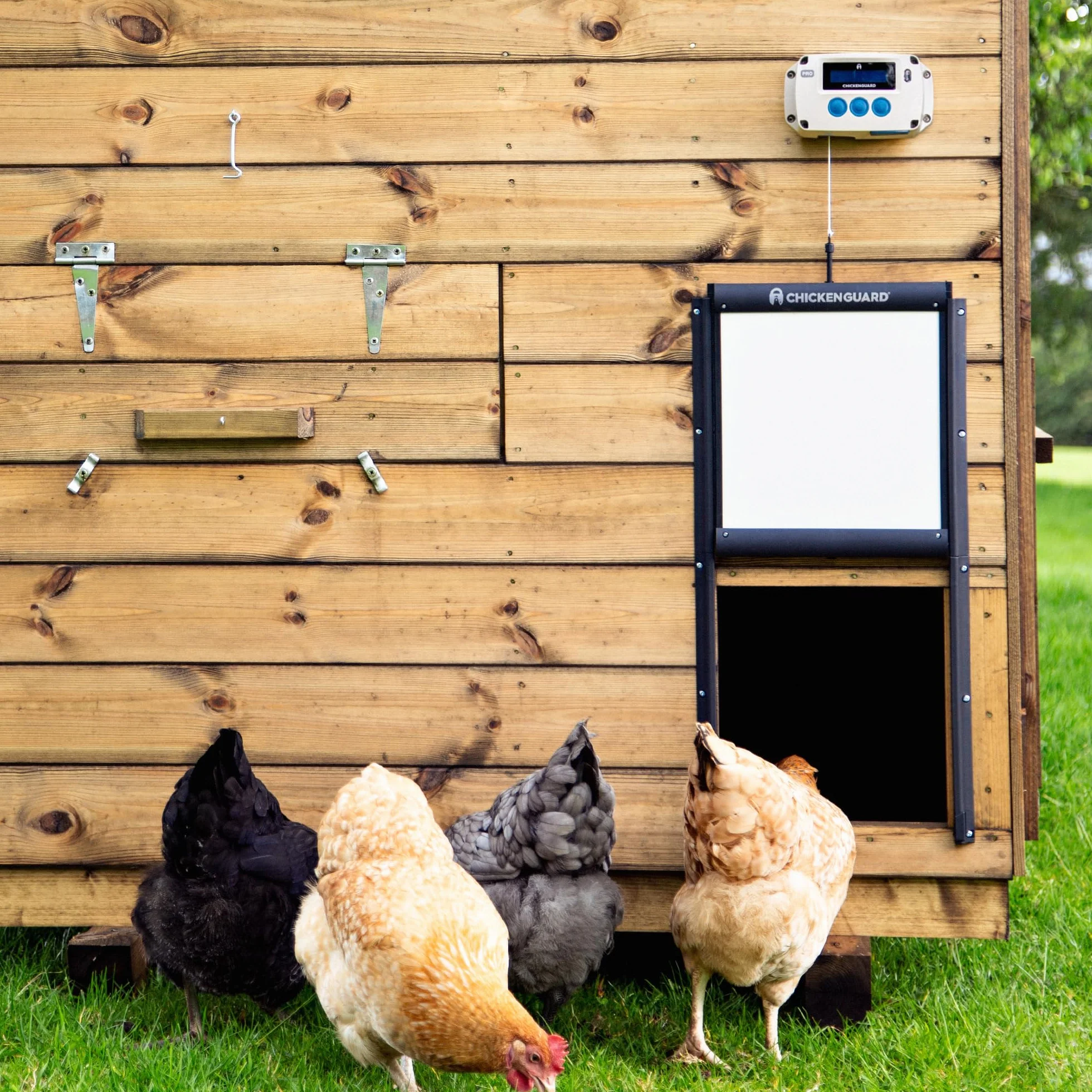 ChickenGuard Automatyczne otwieracze drzwi kurnika, 3 opcje zasilania, słoneczne, baterie alkaliczne lub zasilanie DC (Po + Drzwi + Baterie)