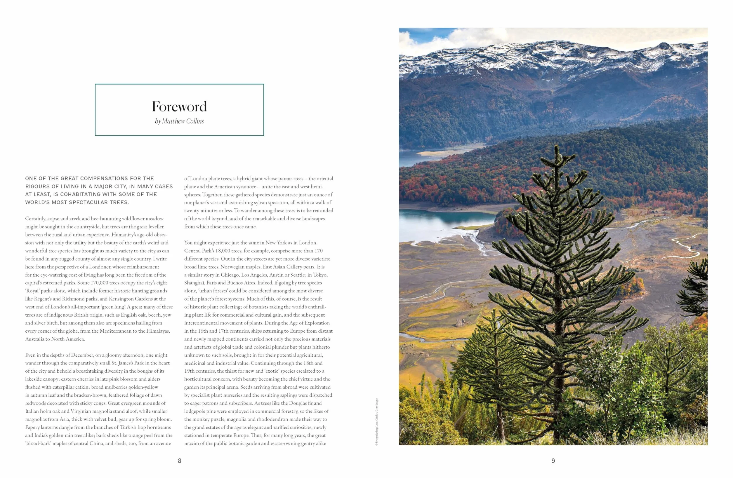 The Tree Atlas 1 -anglais-: 50 Magnificent Species Across the Planet | Practical Travel Advice to See Each Natural Wonder | Exquisite Photography & Illustrations