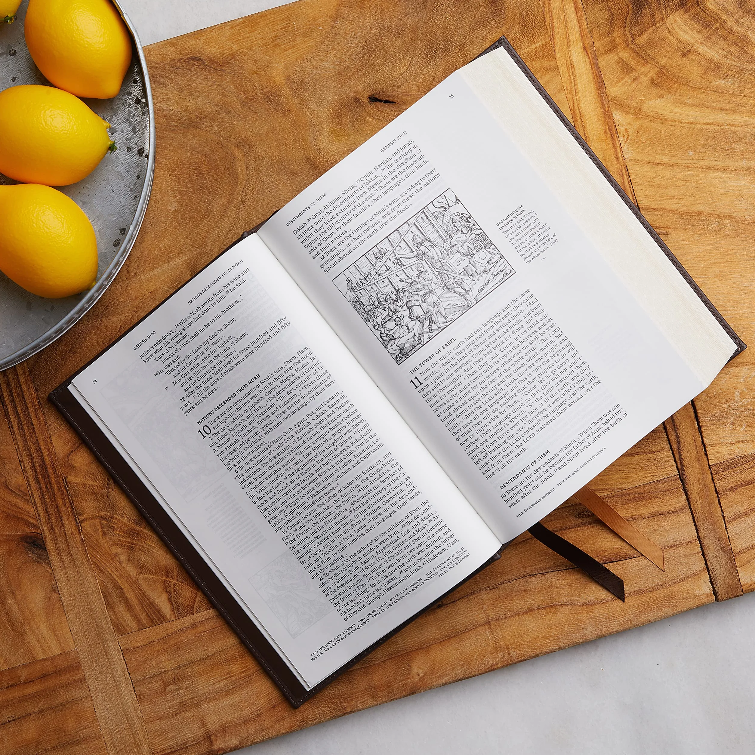Nrsvce, Illustrated Catholic Bible, Leathersoft, Comfort Print: Holy Bible