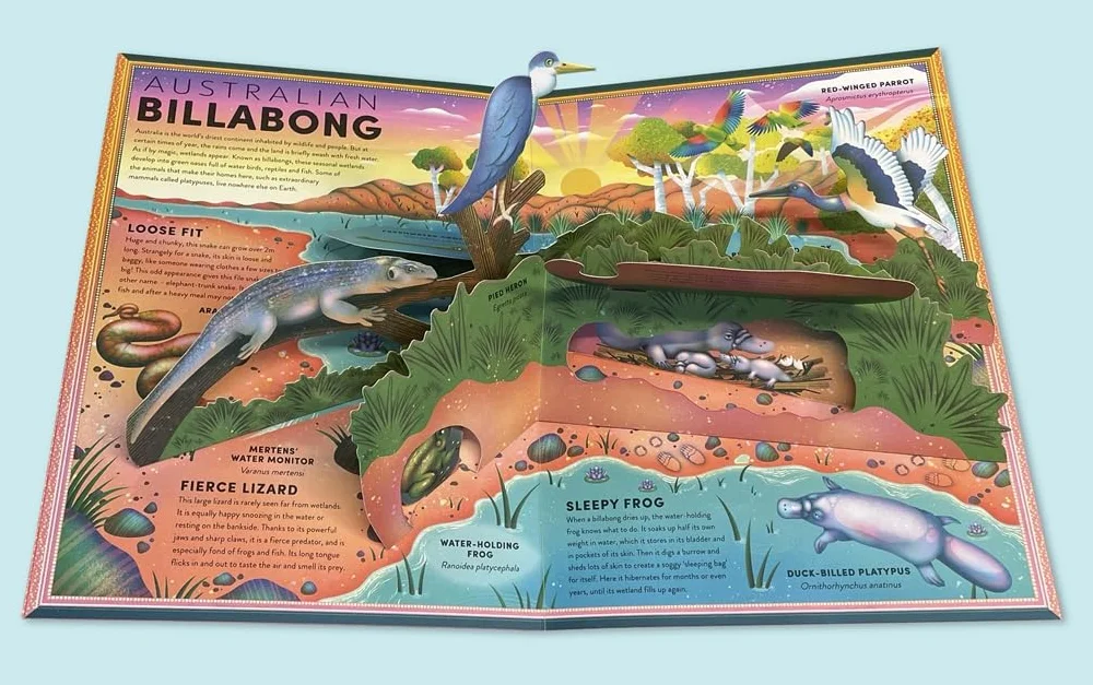 Pop-up Frog And Wetland Creatures