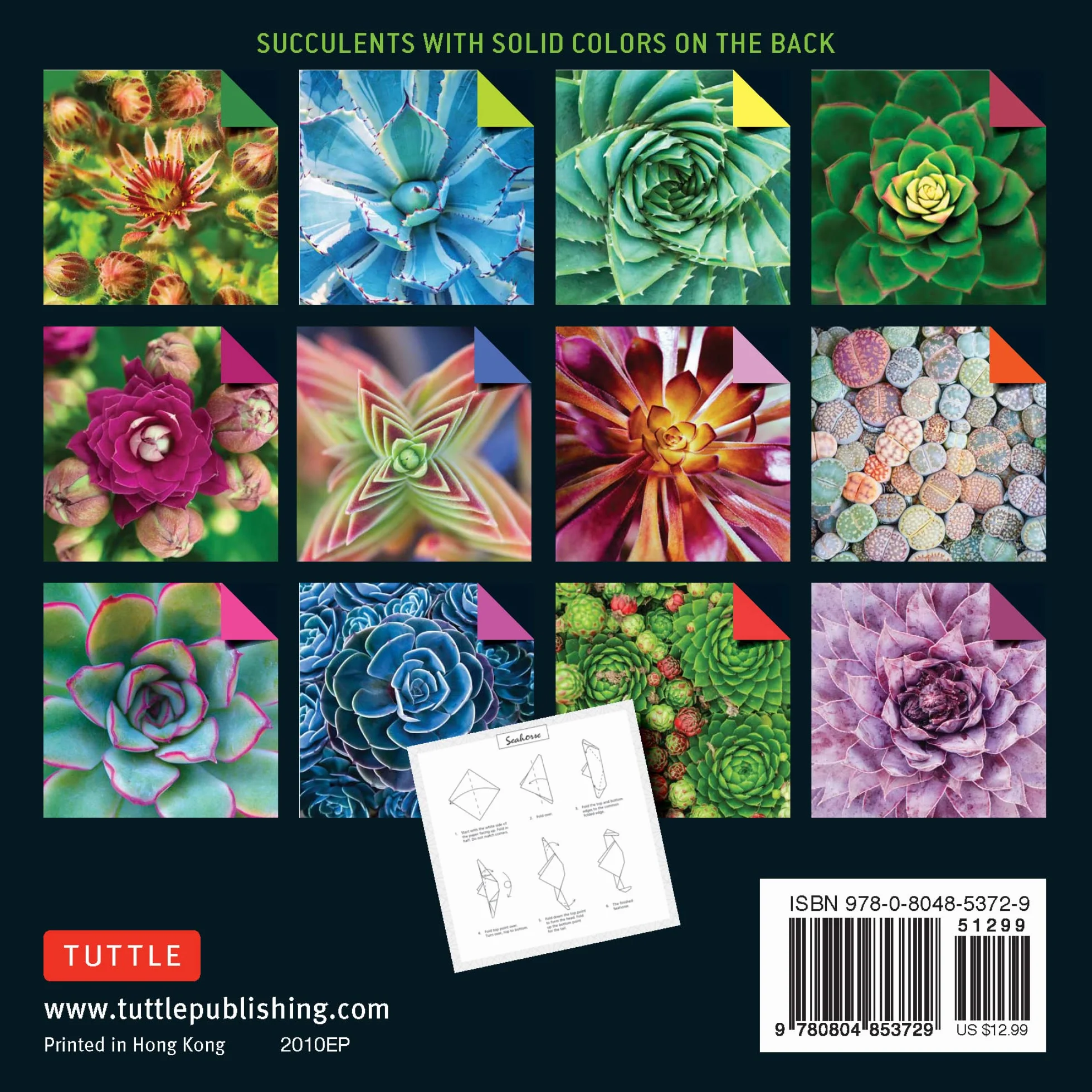 Origami Paper 500 Sheets Succulents 6 (15 CM): Tuttle Origami Paper: Double-Sided Origami Sheets with 12 Different Photographs (Instructions for 6 Projects Included)