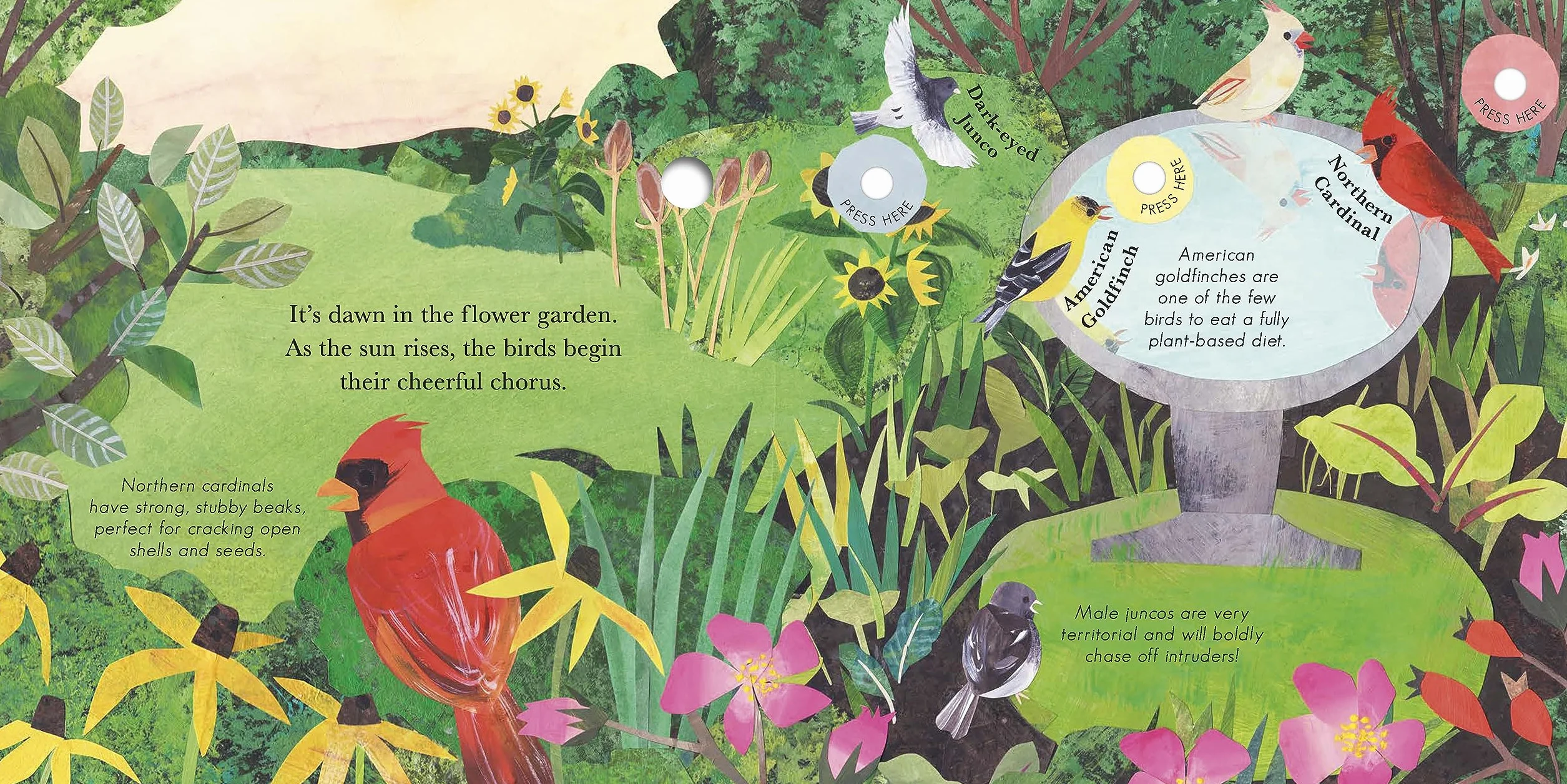Songs of the Birds: A Guide to North American Bird Calls and Songs