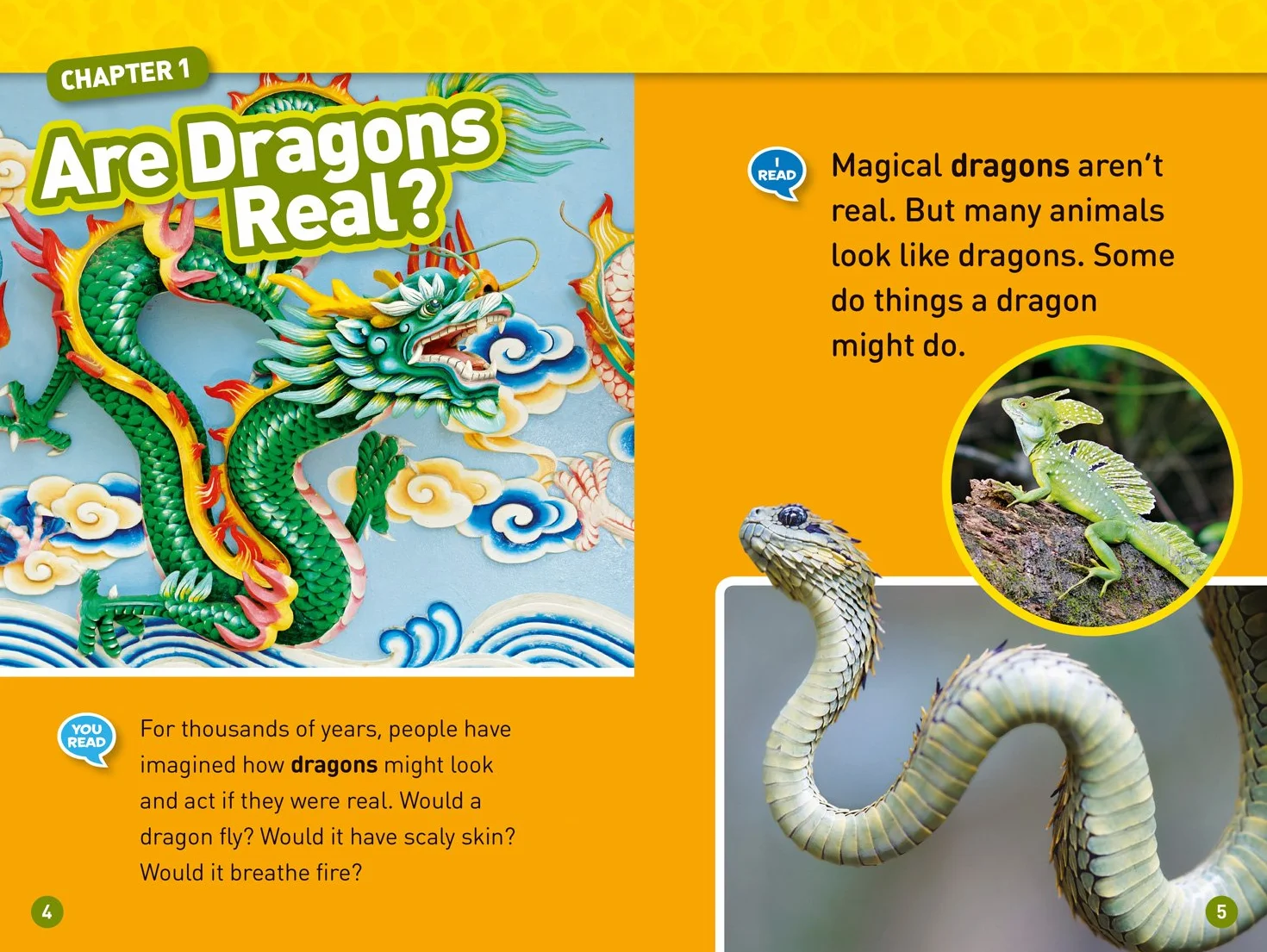 National Geographic Kids Readers: Real Dragons