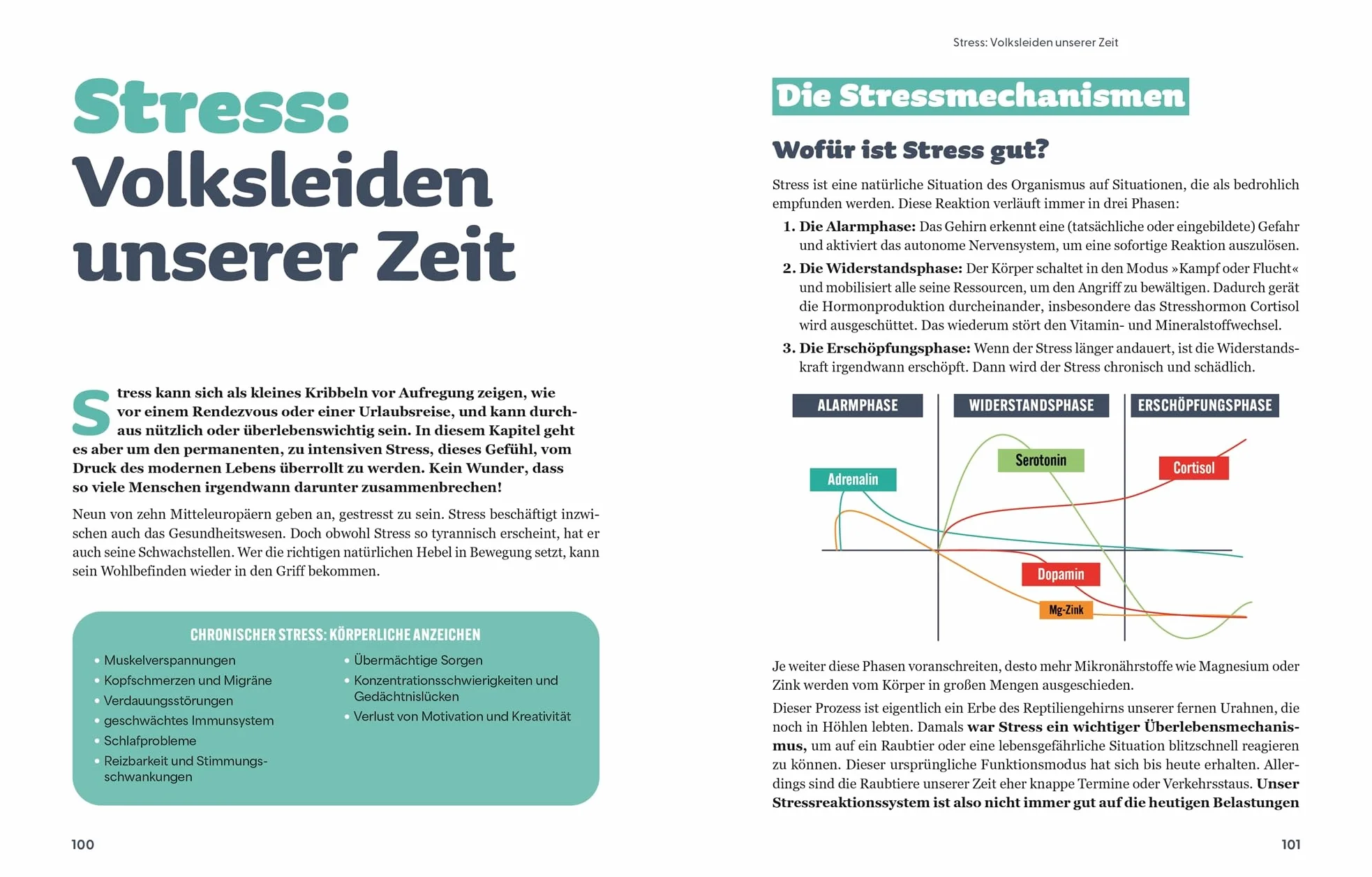 Die Revolution der Nahrungsergänzung: Natürlich gesund und leistungsstark mit Vitaminen, Mineral- und Pflanzenstoffen. Knapp 80 Supplements im Porträt