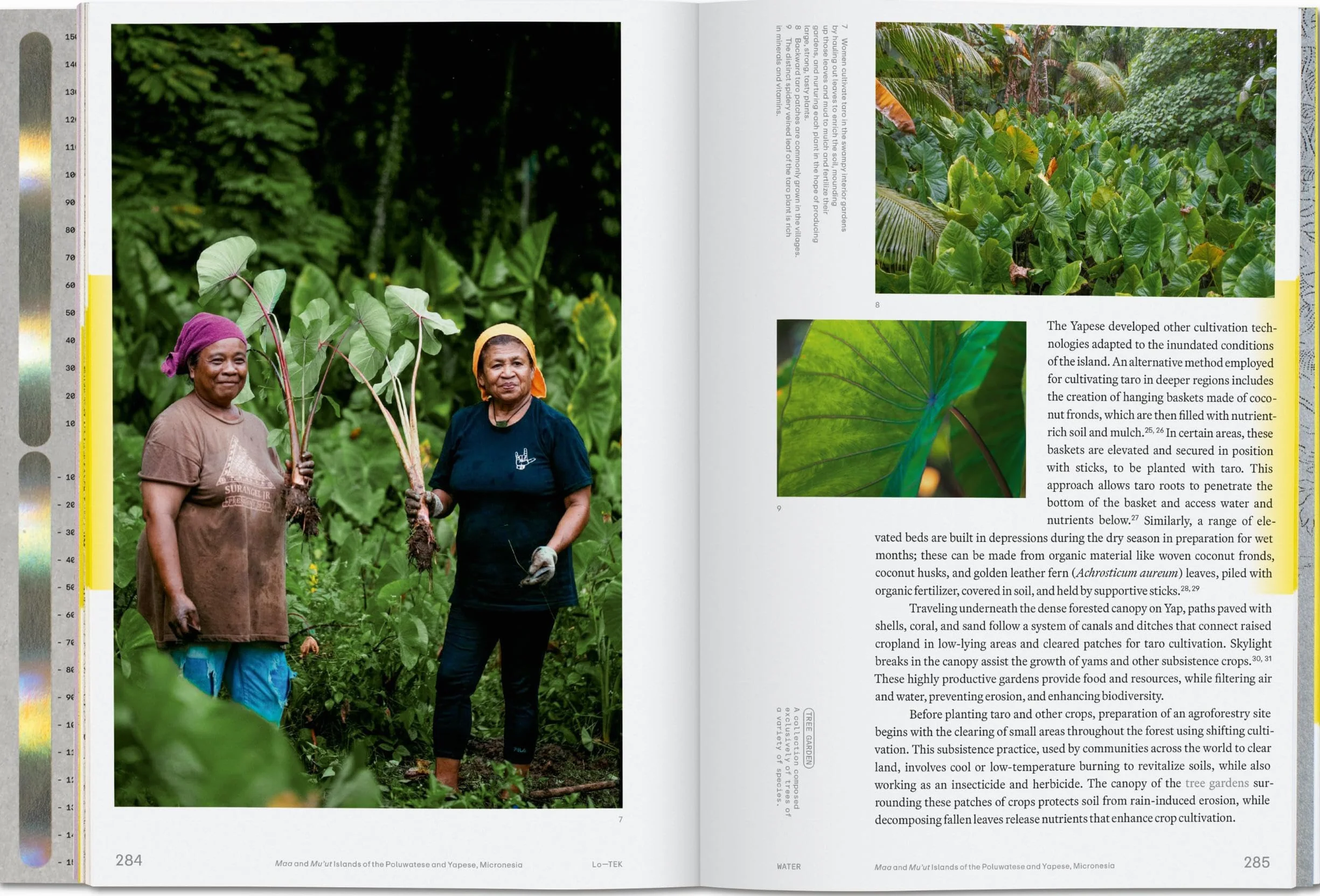 Julia Watson. Lo--Tek. Water. a Field Guide for Teknology