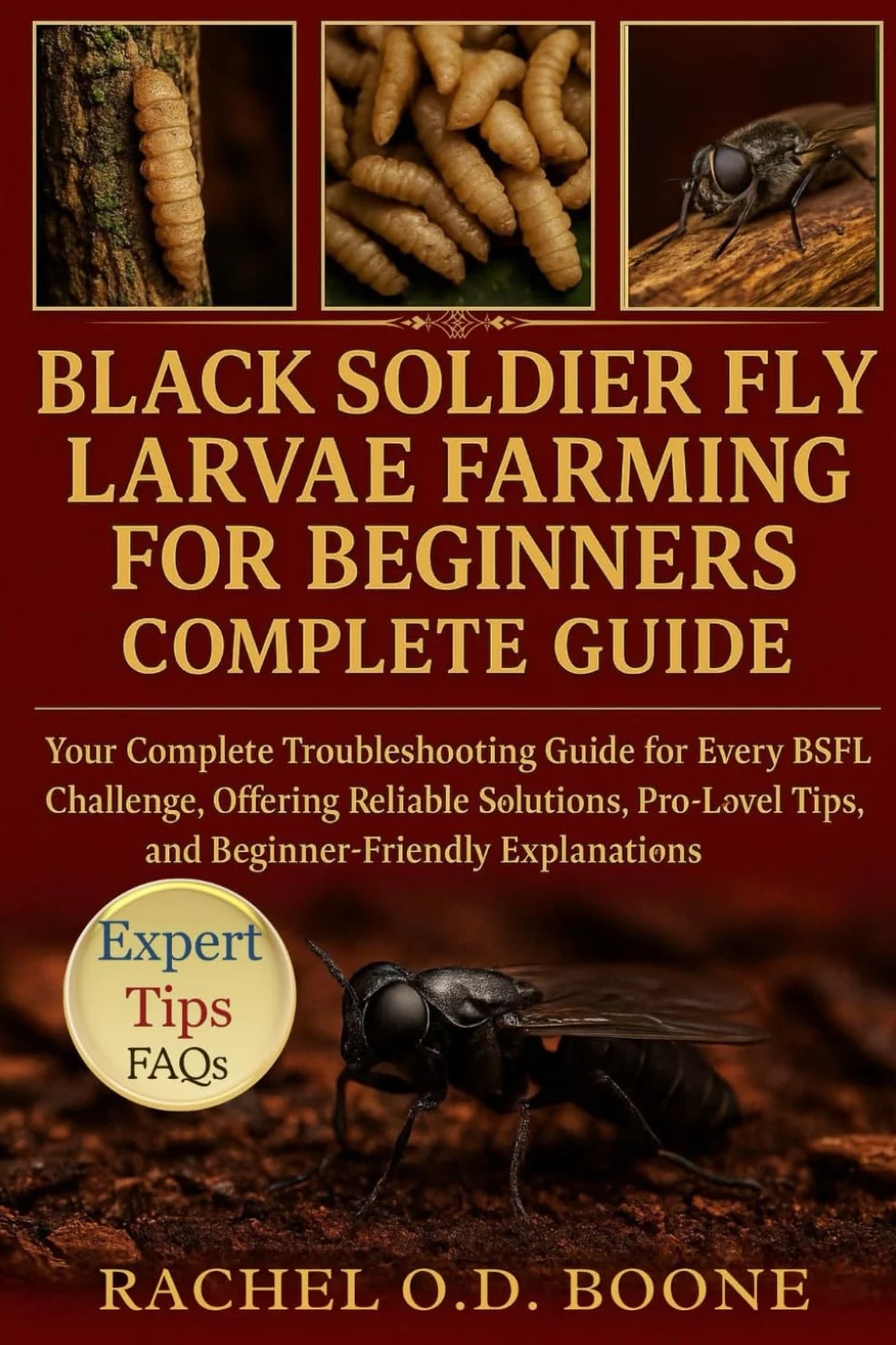 BLACK SOLDIER FLY LARVAE FARMING FOR BEGINNERS COMPLETE GUIDE: Your Complete Troubleshooting Guide for Every BSFL Challenge, Offering Reliable ... Tips, and Beginner-Friendly Explanations