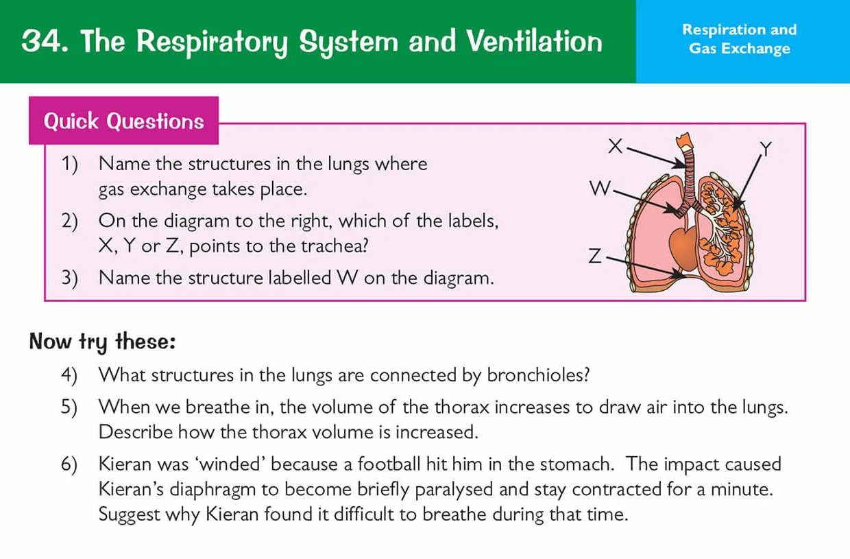 Edexcel International GCSE Biology Revision Question Cards