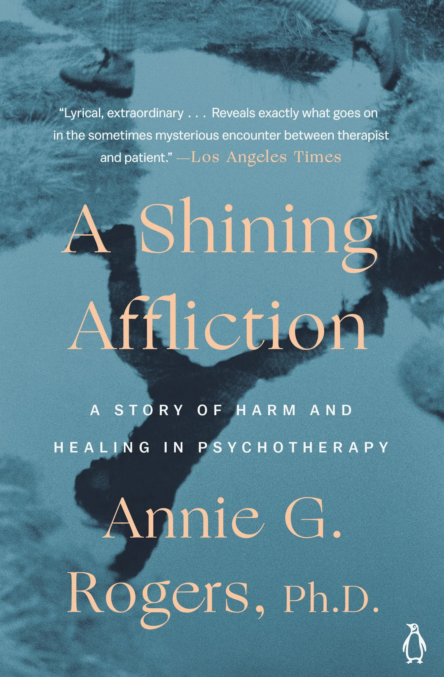 A Shining Affliction: Harm and Healing in Psychotherapy