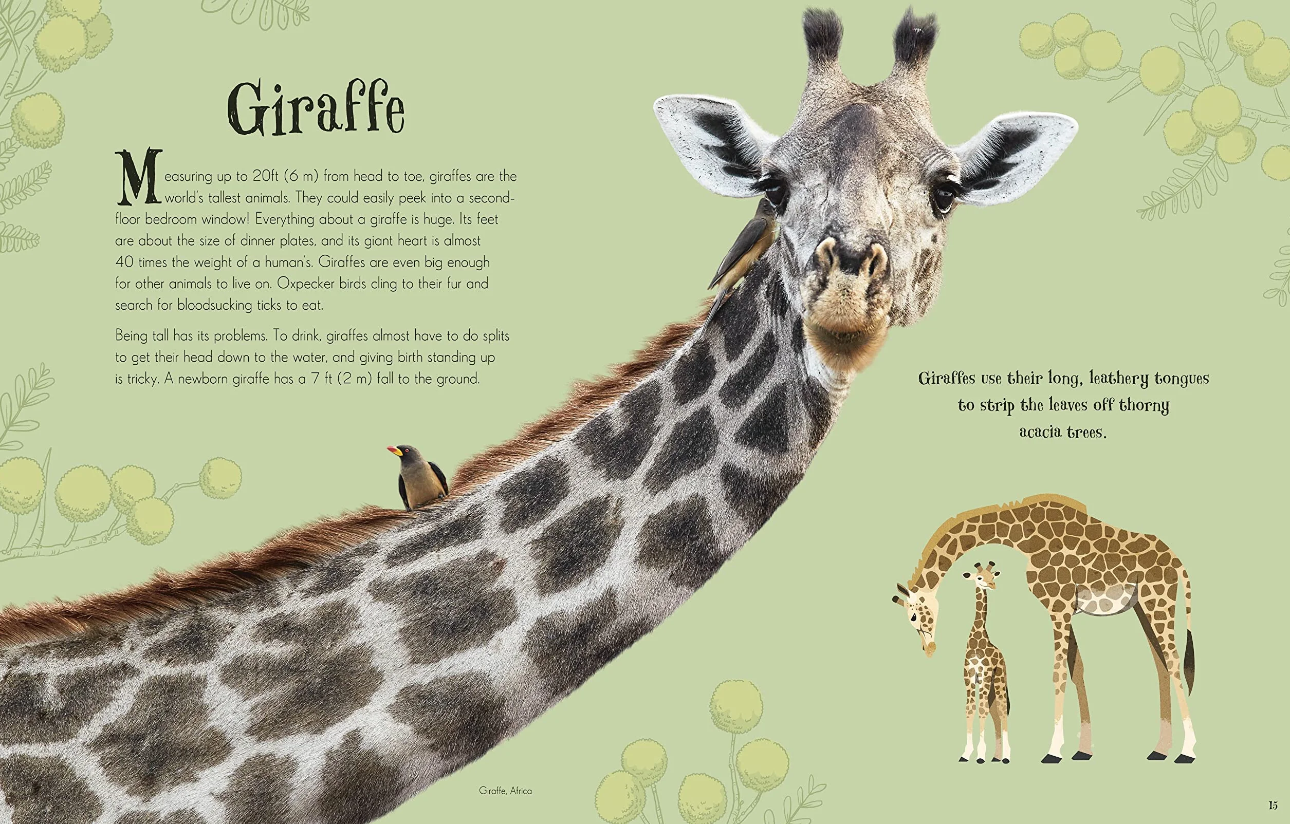 Children's Anthologies Collection: 3-Book Box Set for Kids Ages 6-8, Featuring 300+ Animal, Dinosaur, and Space Topics
